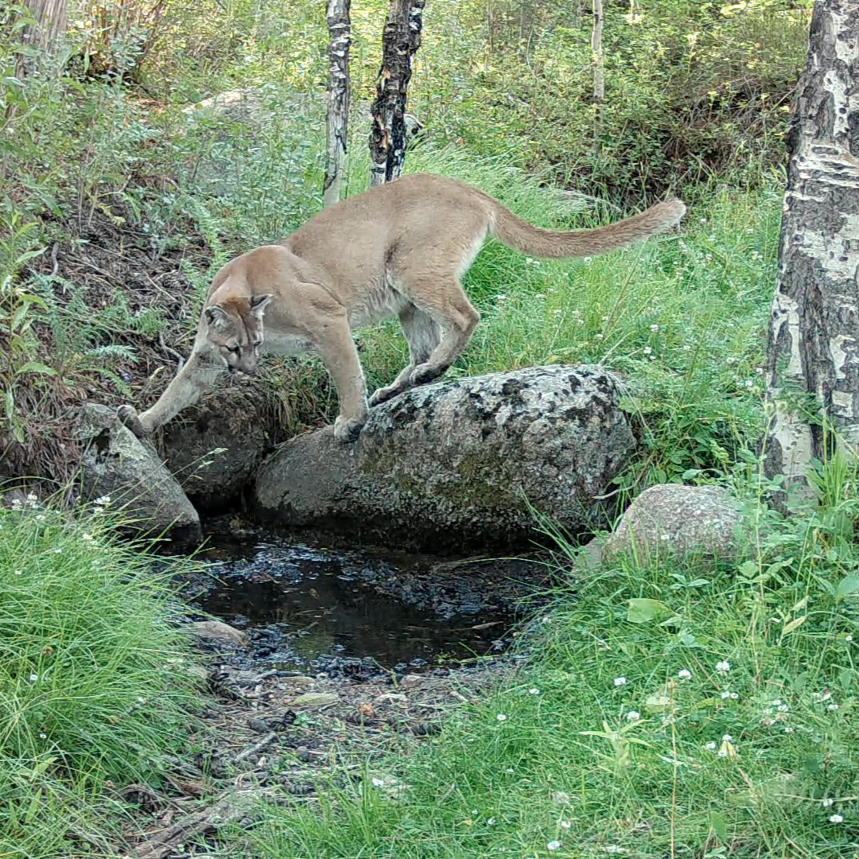 Science Matters Colorado
