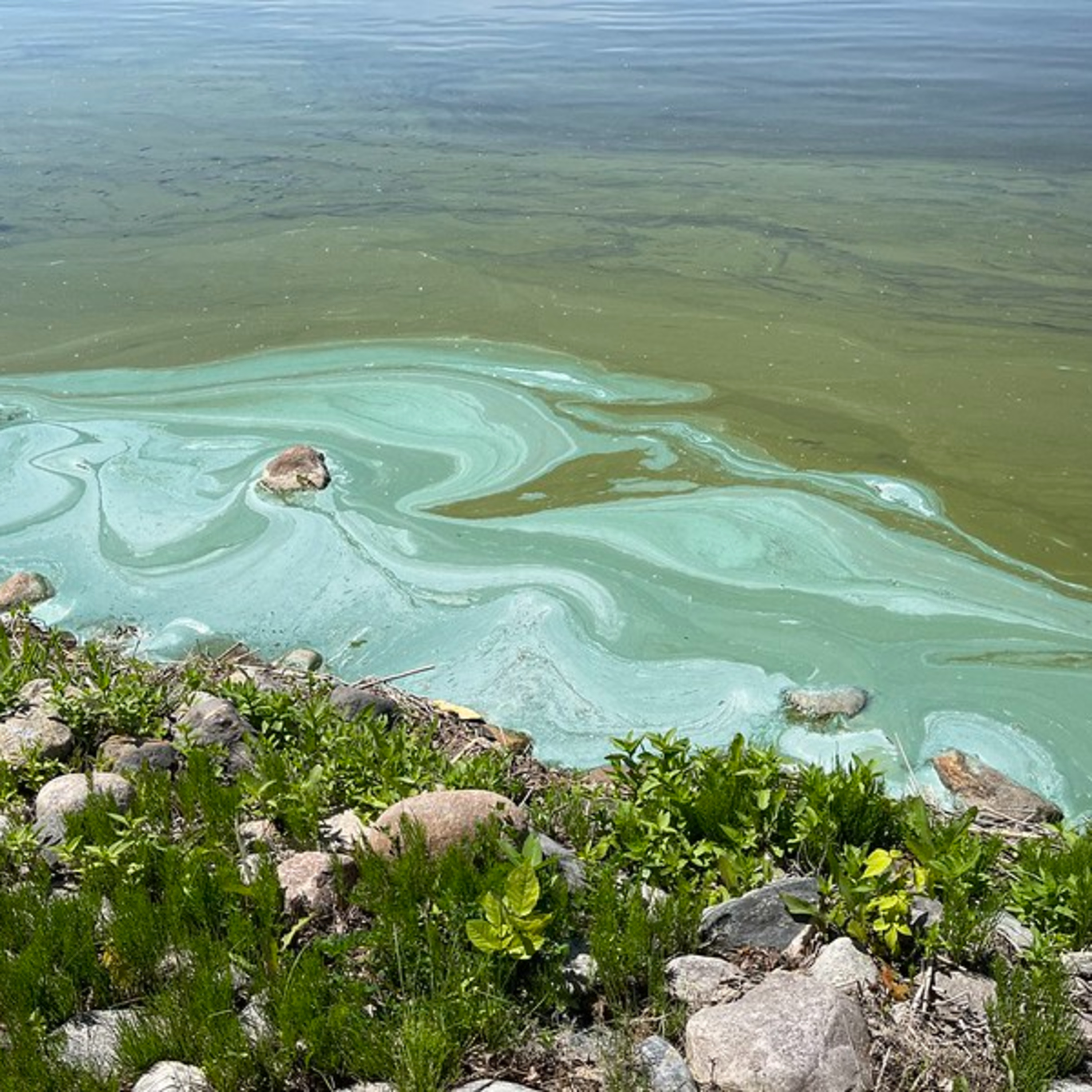 Science Matters Colorado