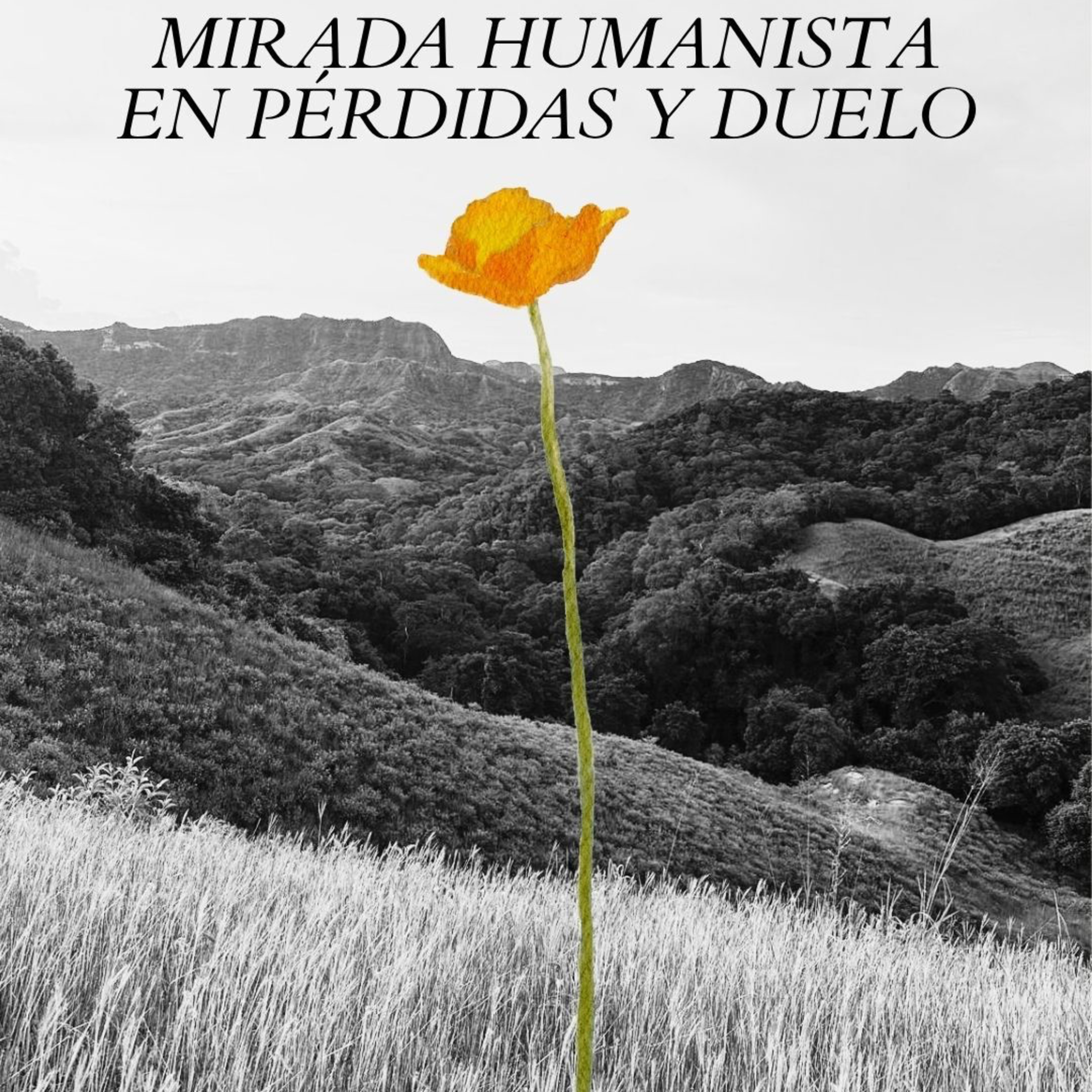 Portada de La salud que NO nombran