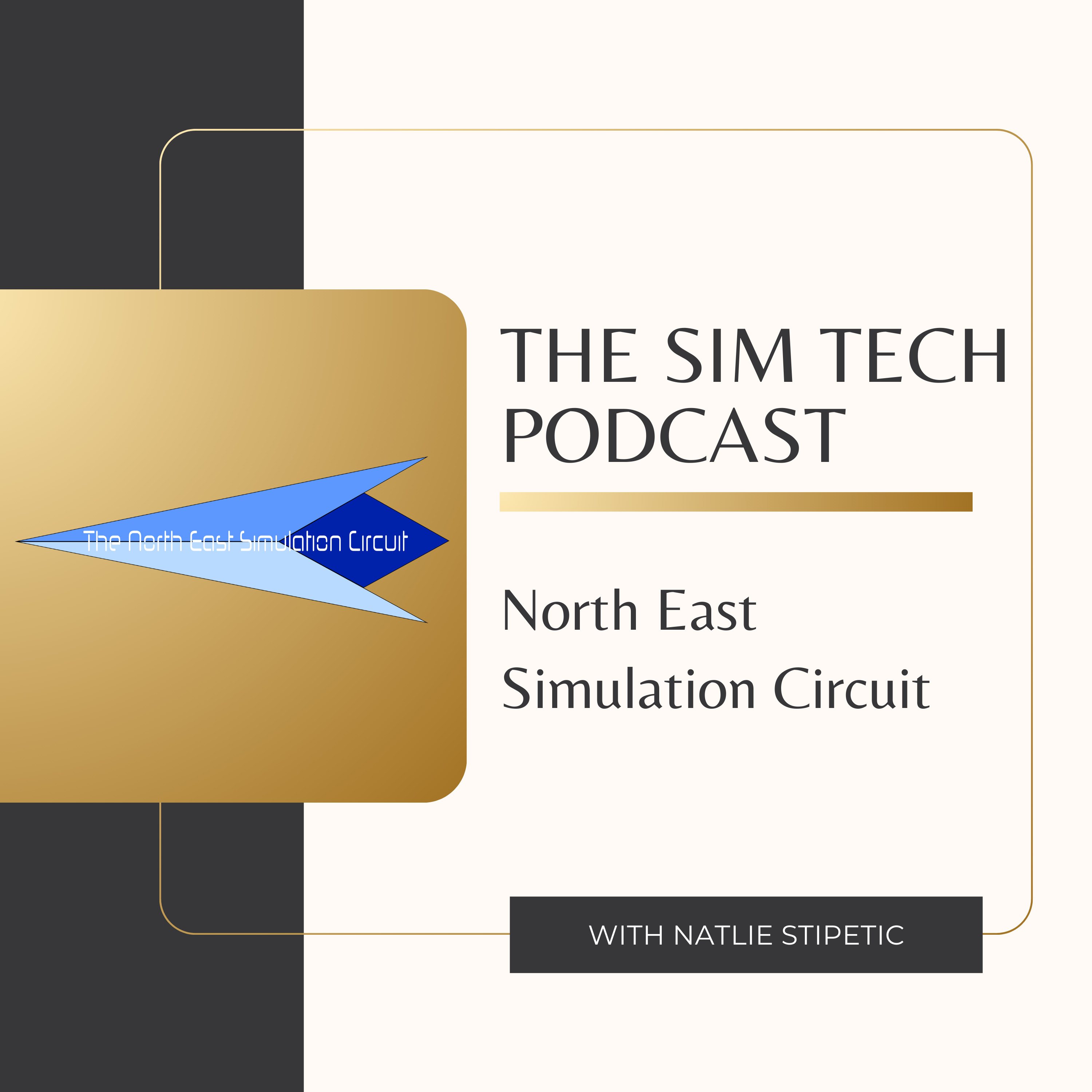 The Sim Tech Podcast: Clinical Simulation