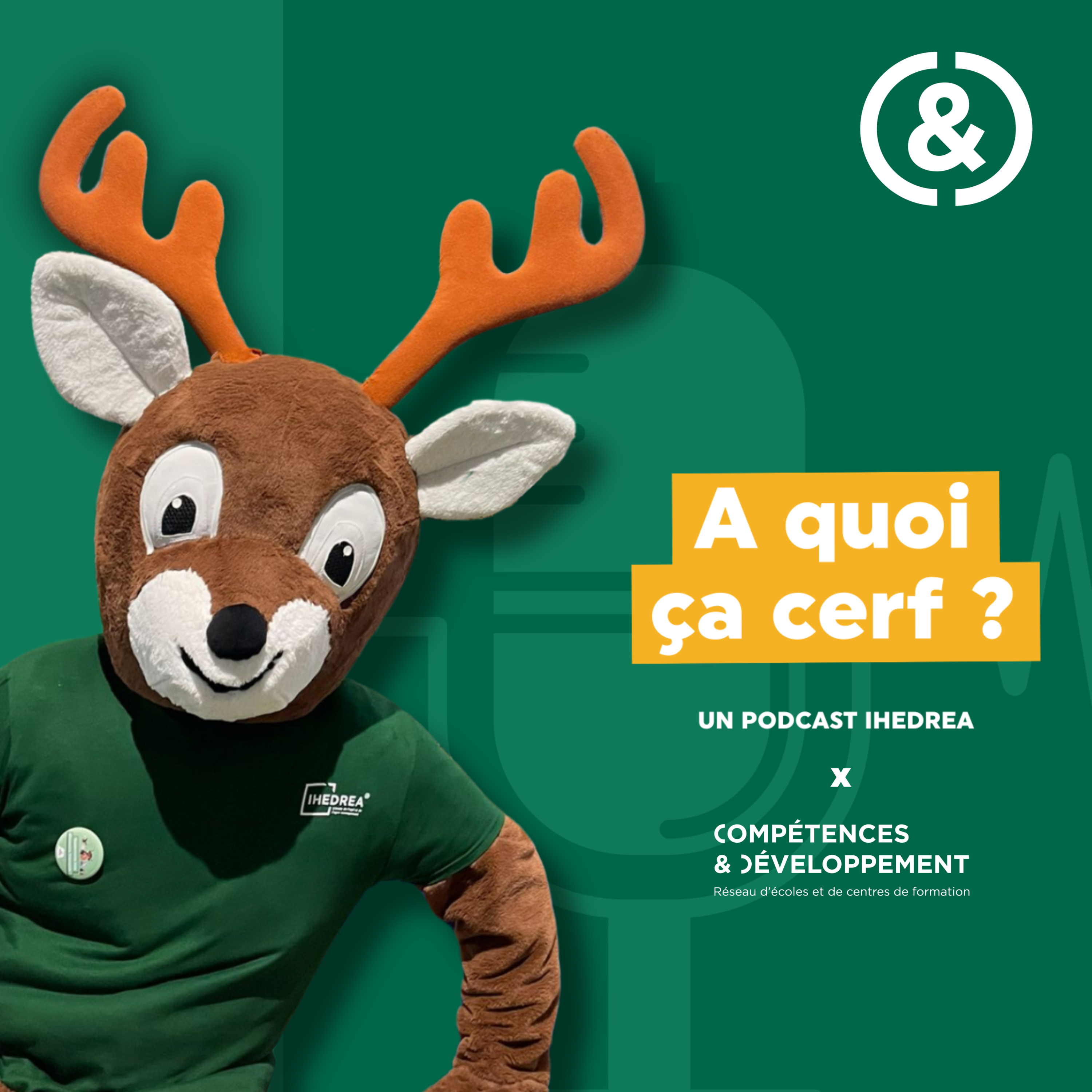 Le Podcast des écoles du réseau Compétences et Développement