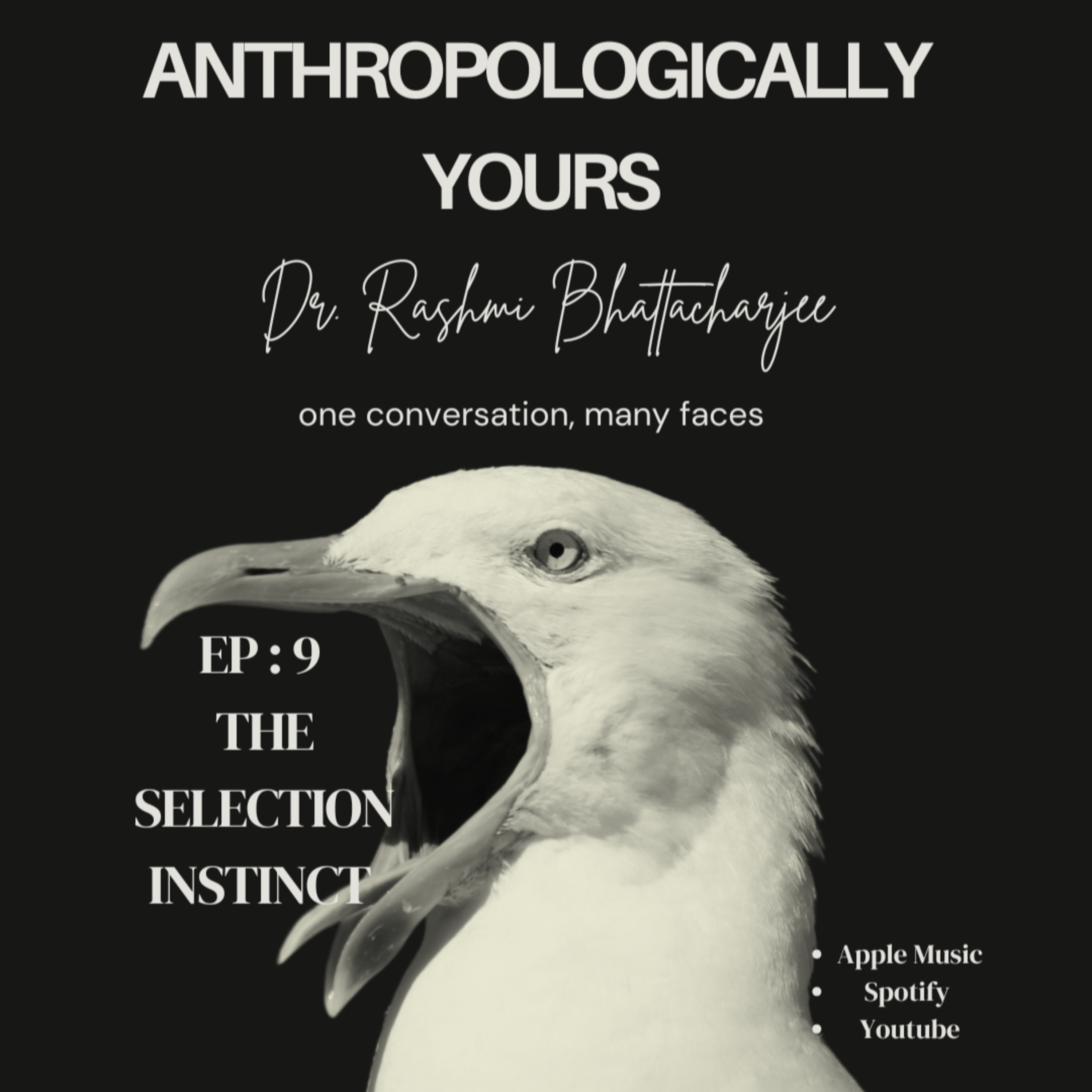 Anthropologically Yours