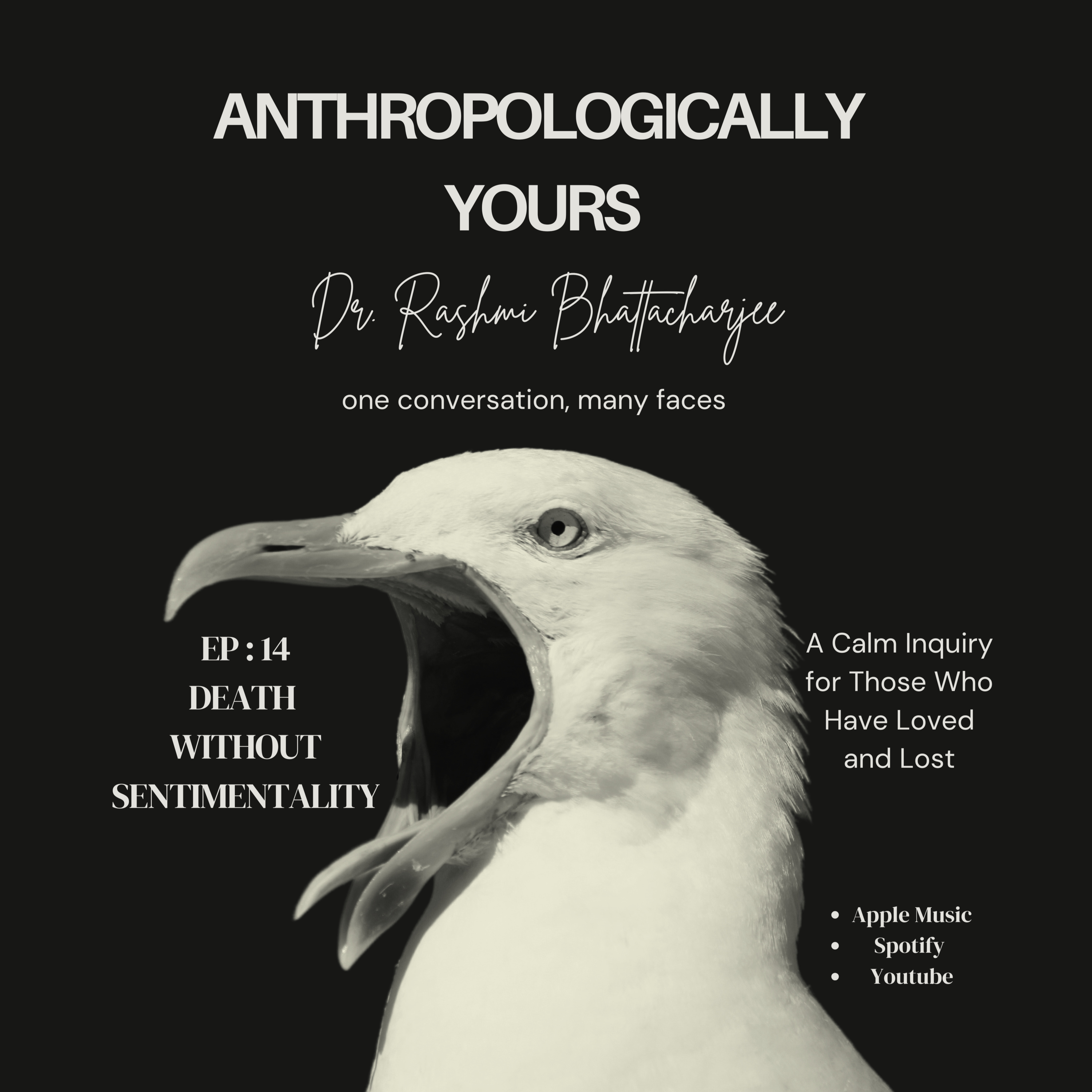 Anthropologically Yours