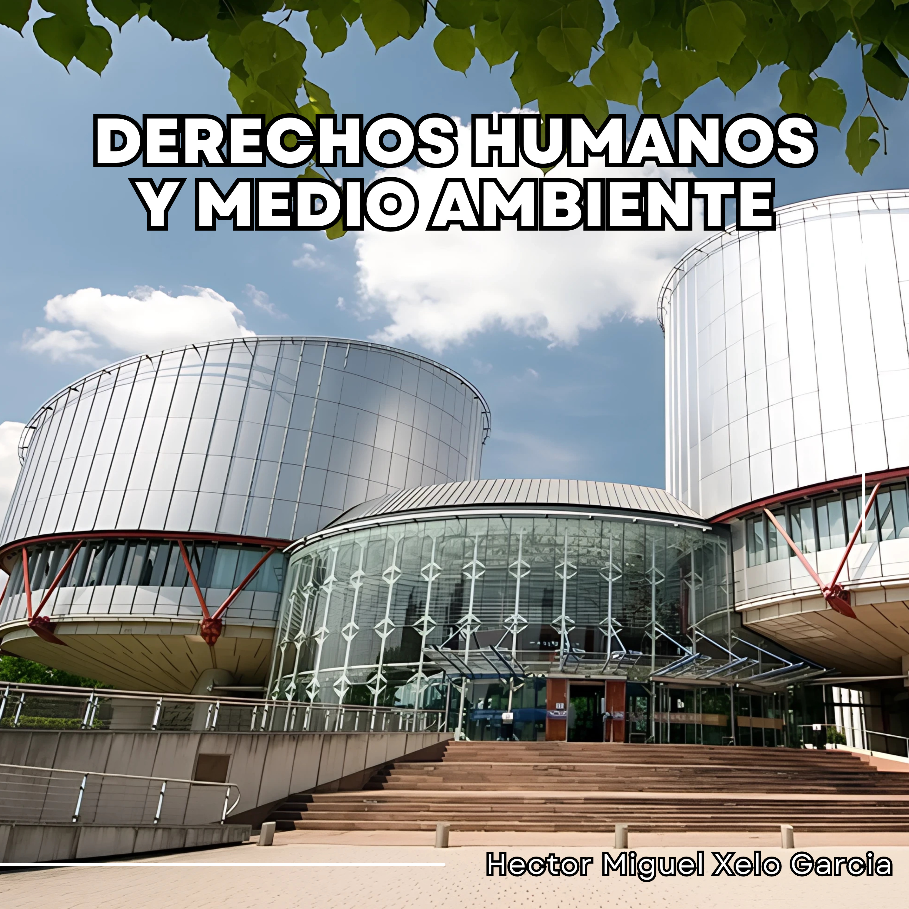 Los casos más importantes del derecho internacional ambiental.