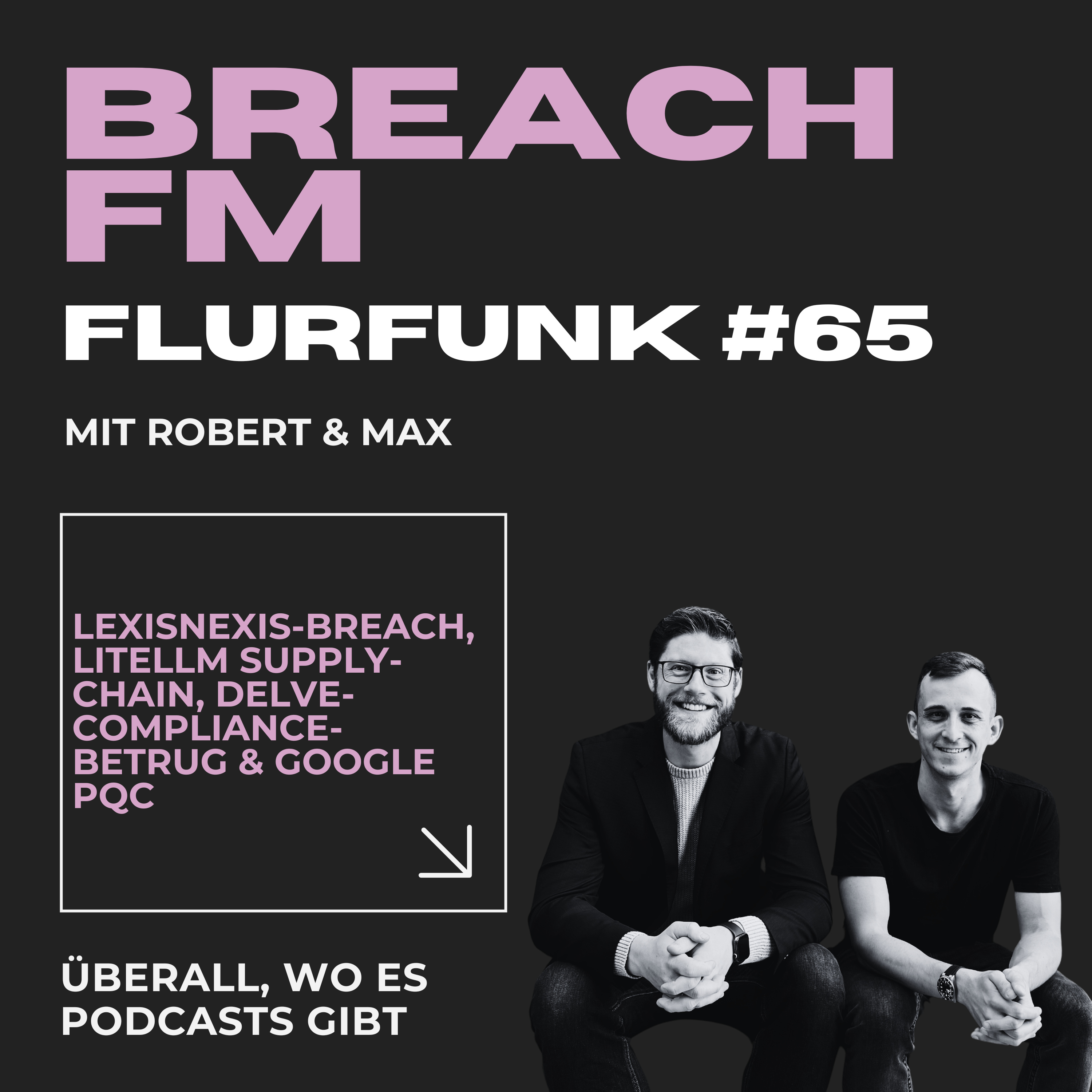 Flurfunk - LexisNexis-Breach, LiteLLM Supply-Chain, Delve-Compliance-Betrug & Google PQC episode artwork