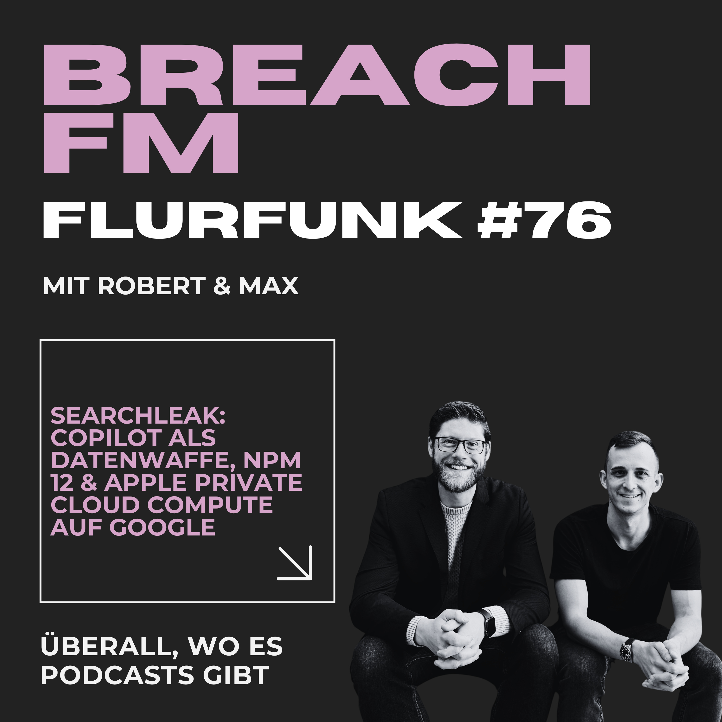 Flurfunk - SearchLeak, Google AI Threat Defense, NPM 12 & Apple Private Cloud Compute episode artwork