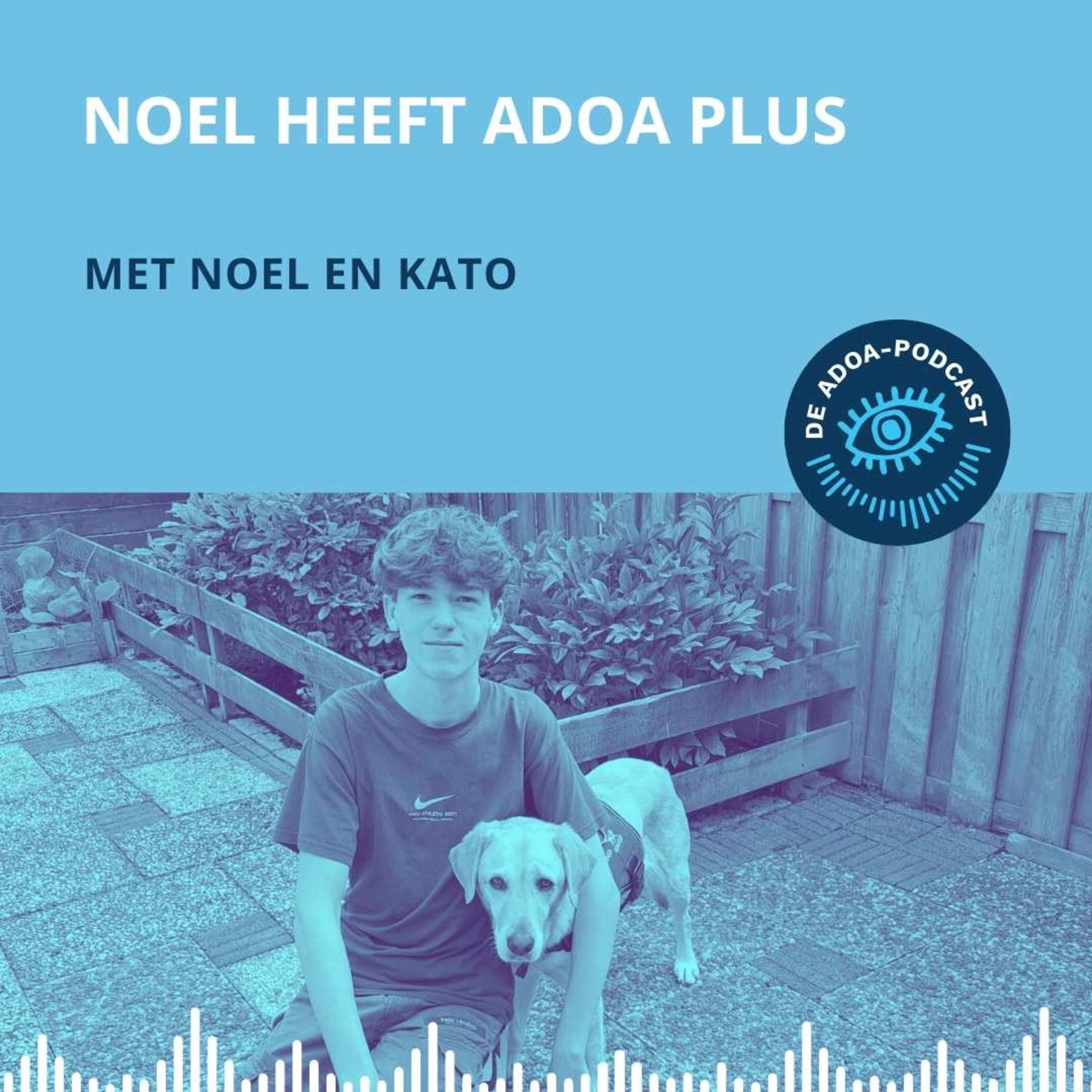 Noël heeft ADOA-plus episode artwork