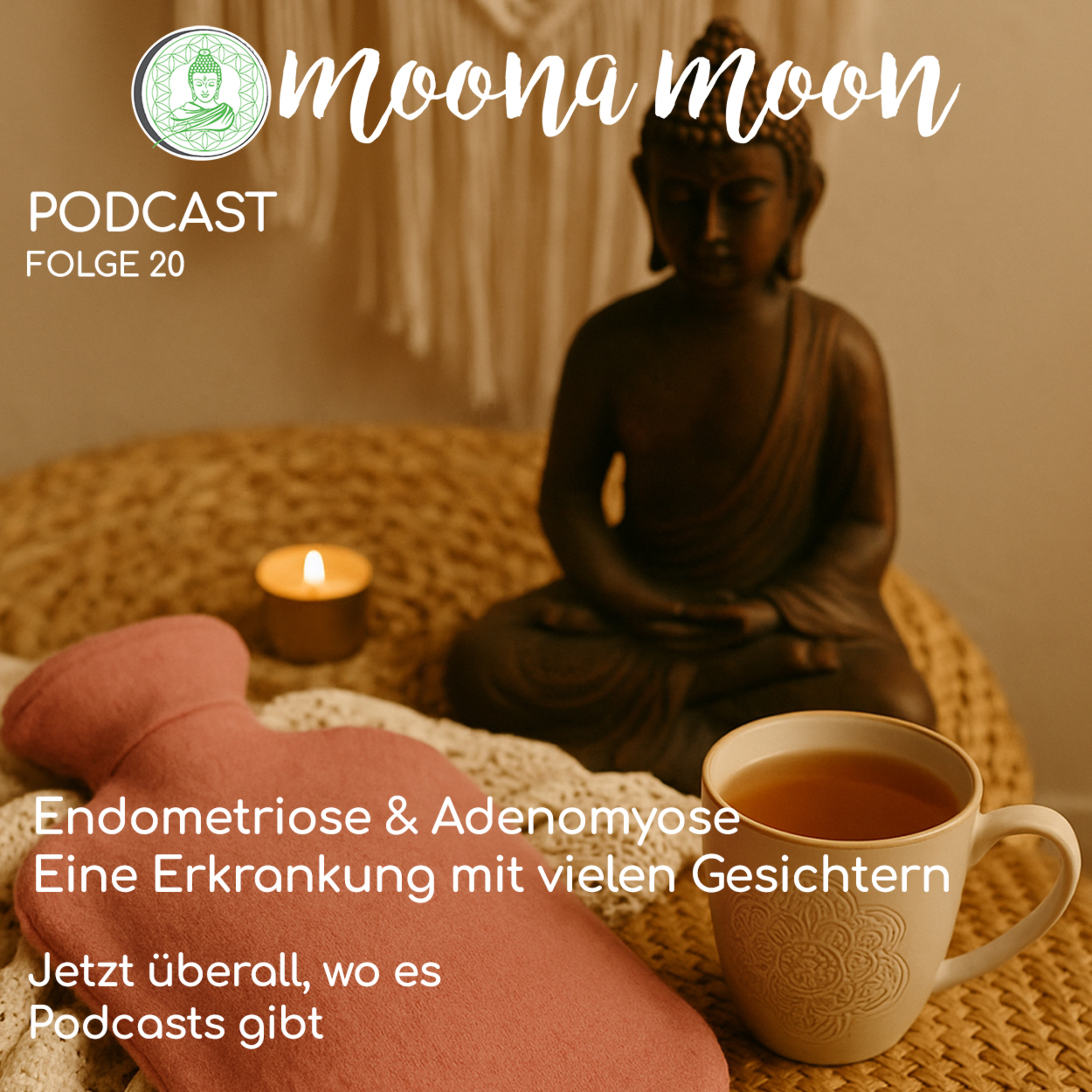Endometriose & Adenomiose- Eine Erkrankung mit vielen Gesichtern  episode artwork