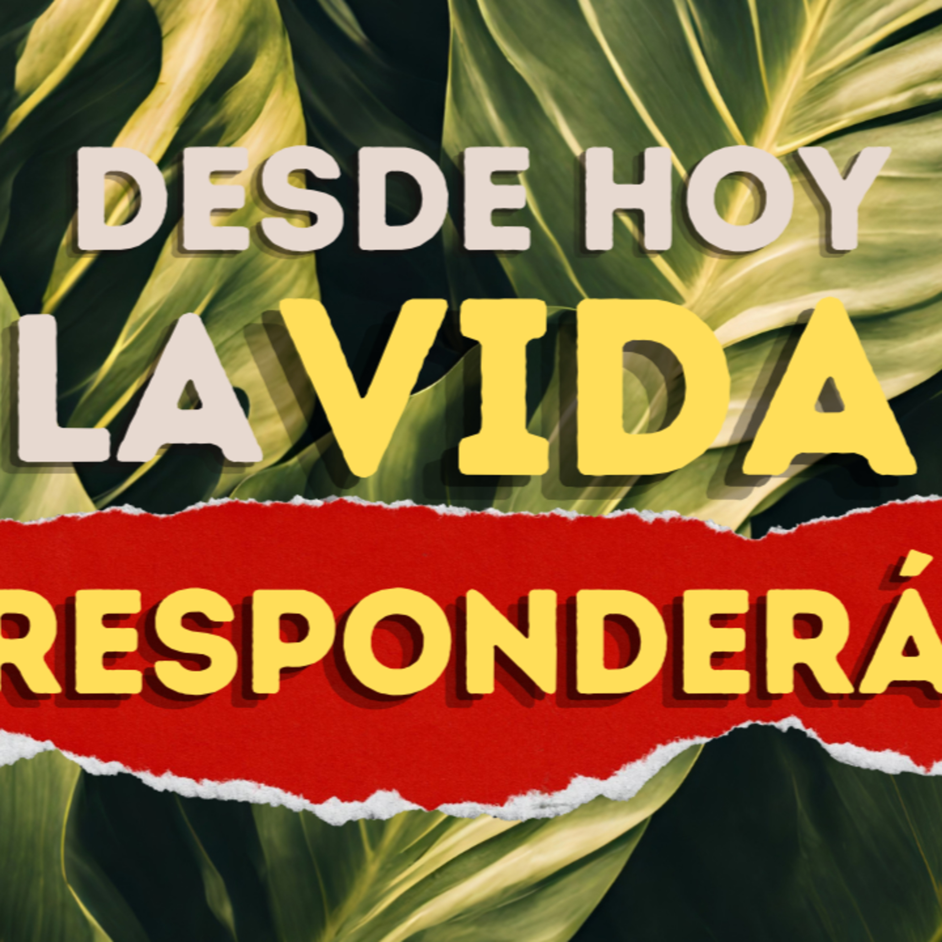 Un Camino Llamado Amor ❤️