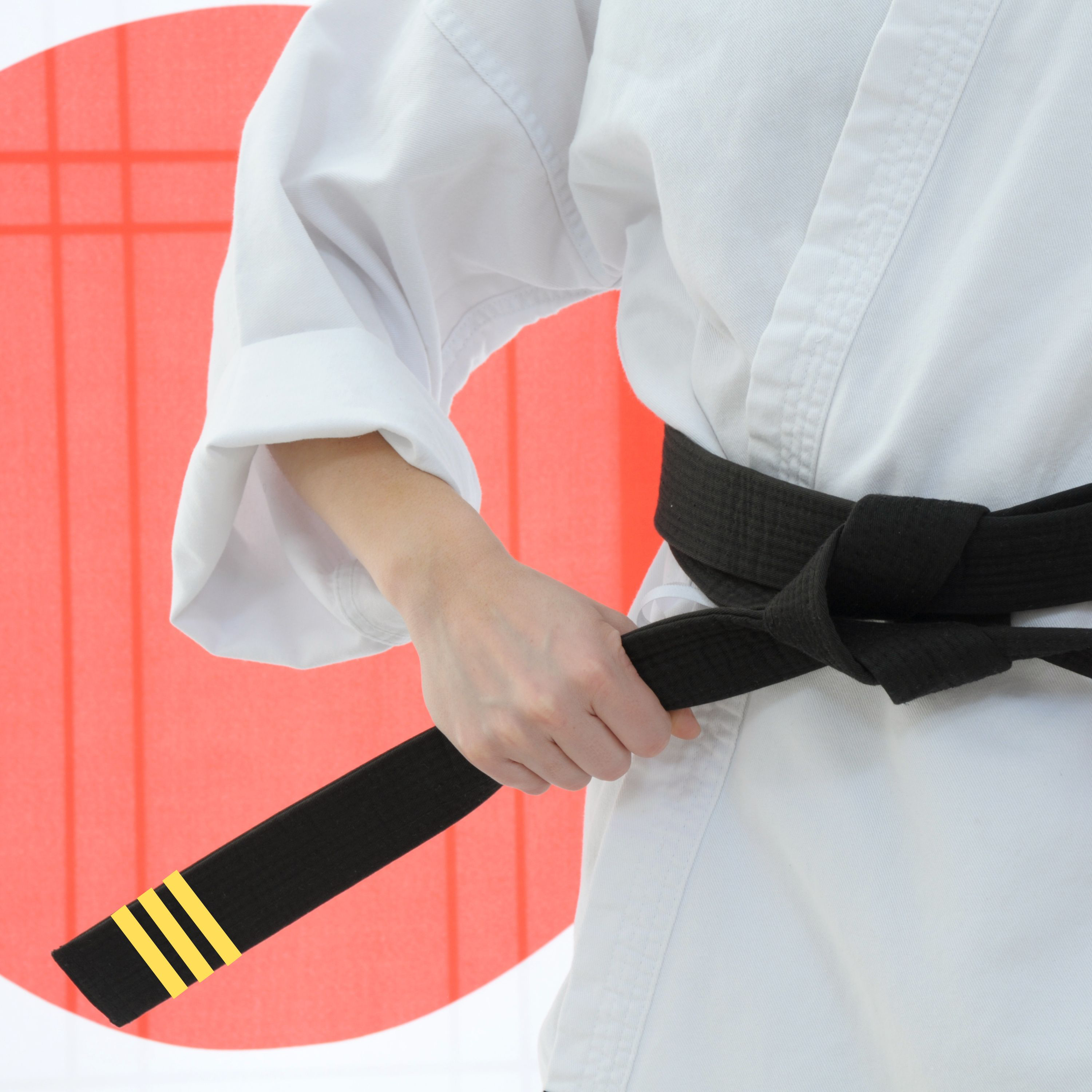 Ignite TKD Korean theory