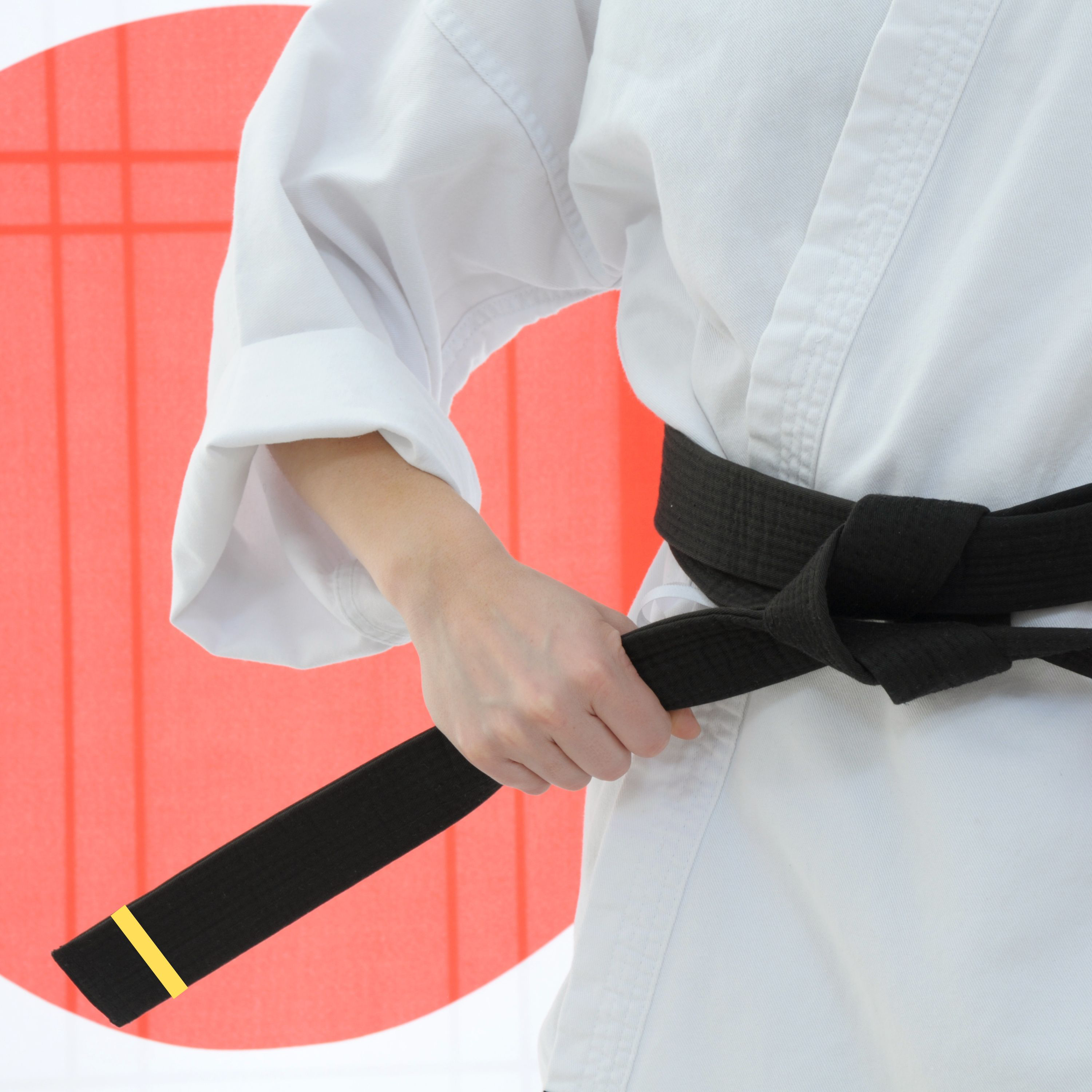 Ignite TKD Korean theory