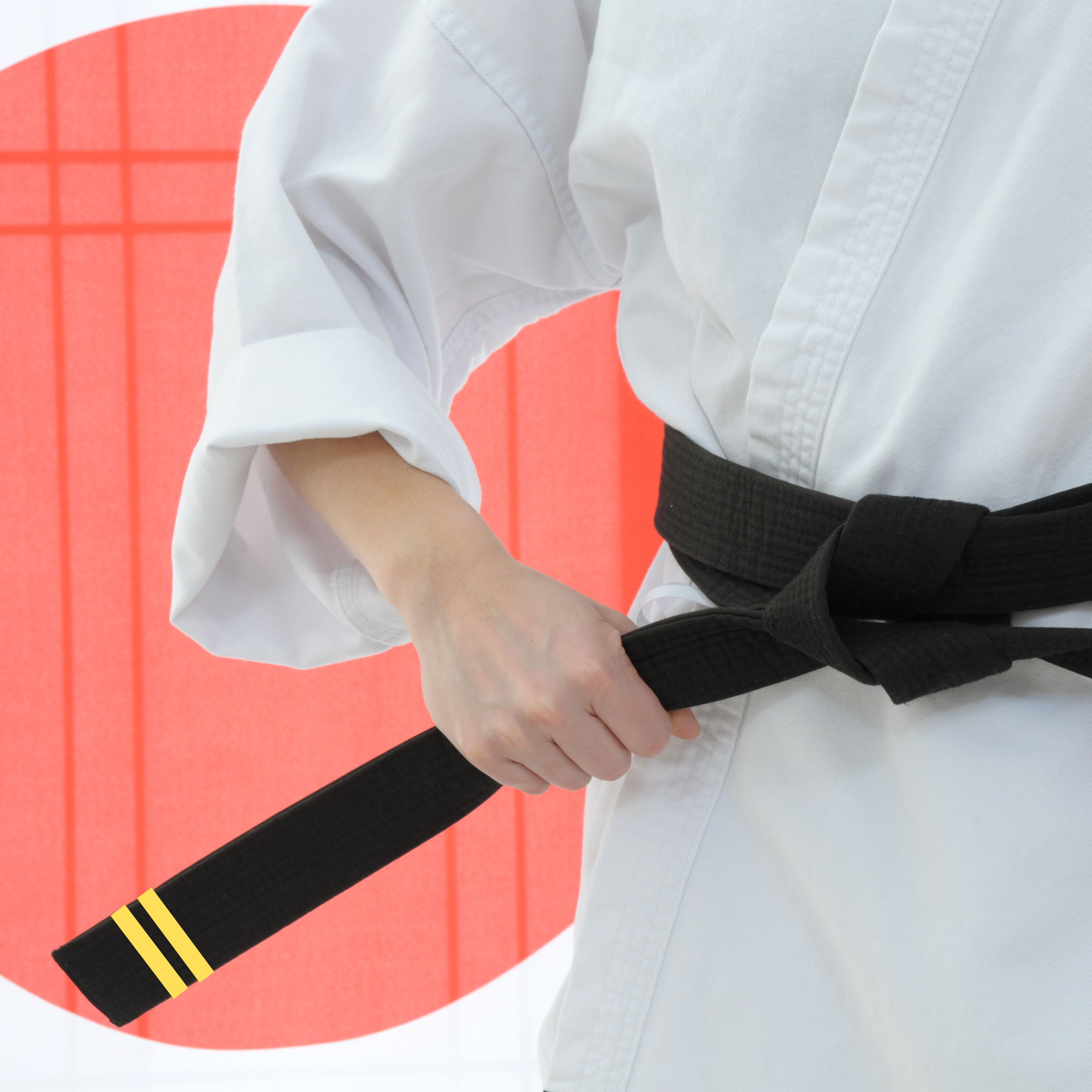 Ignite TKD Korean theory