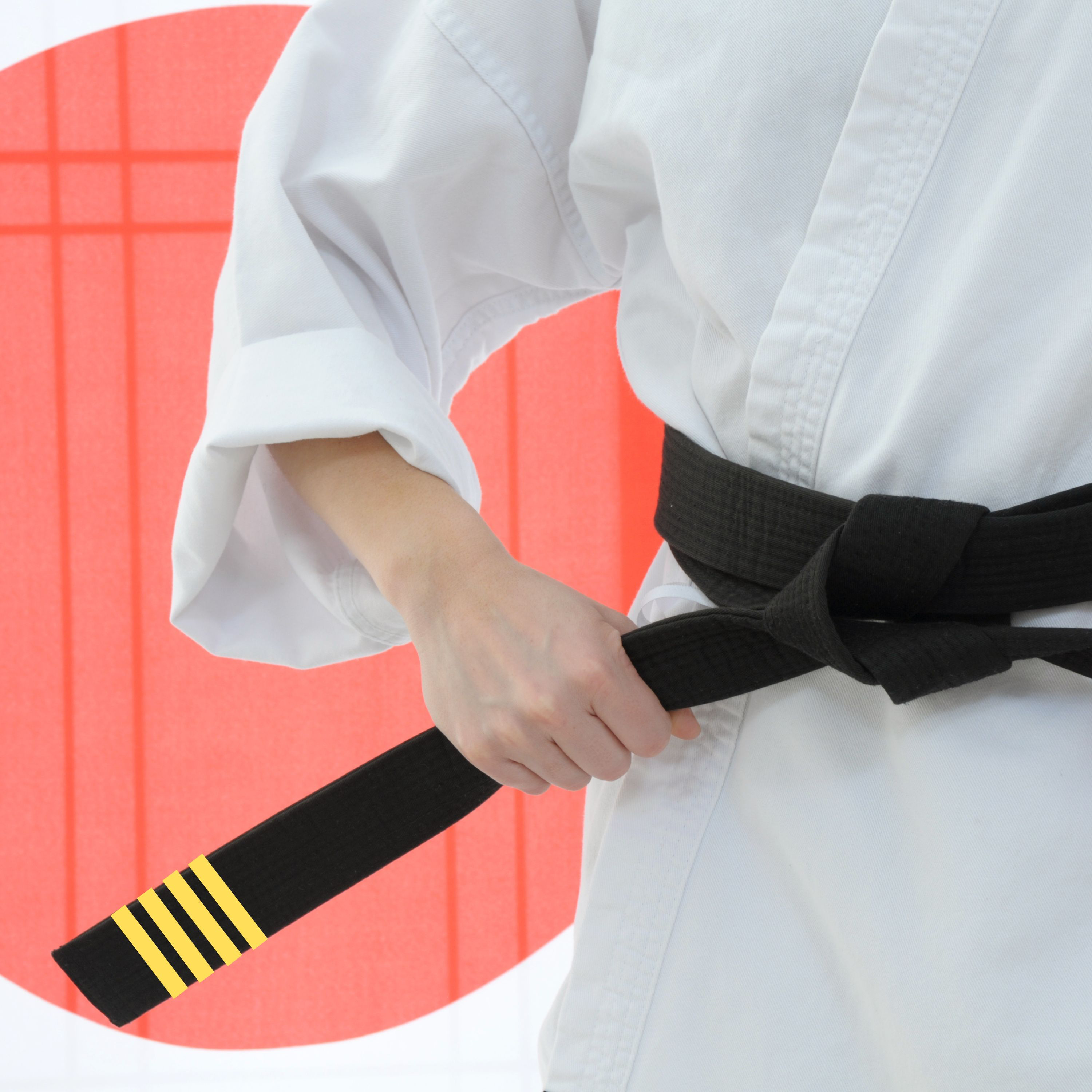 Ignite TKD Korean theory