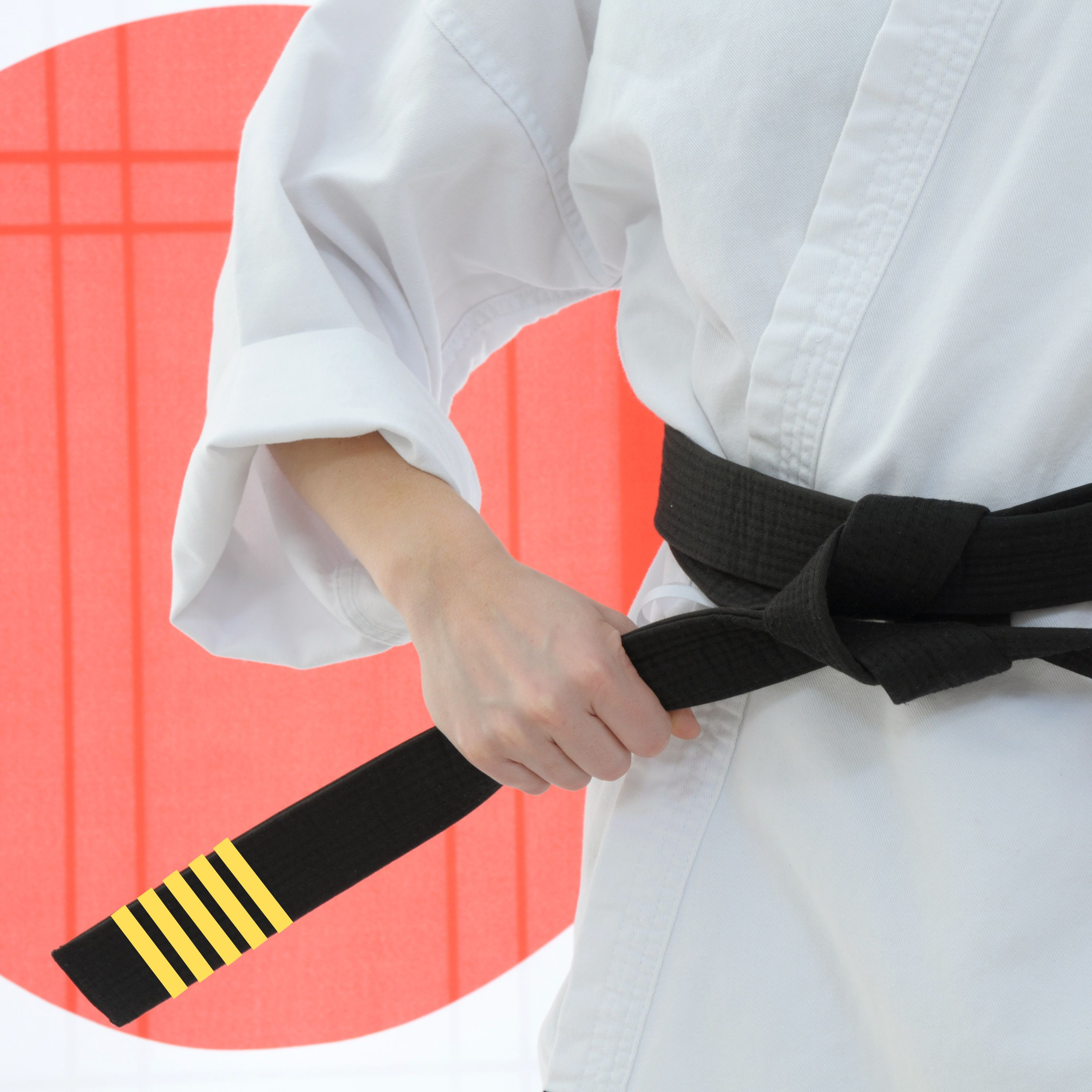 Ignite TKD Korean theory