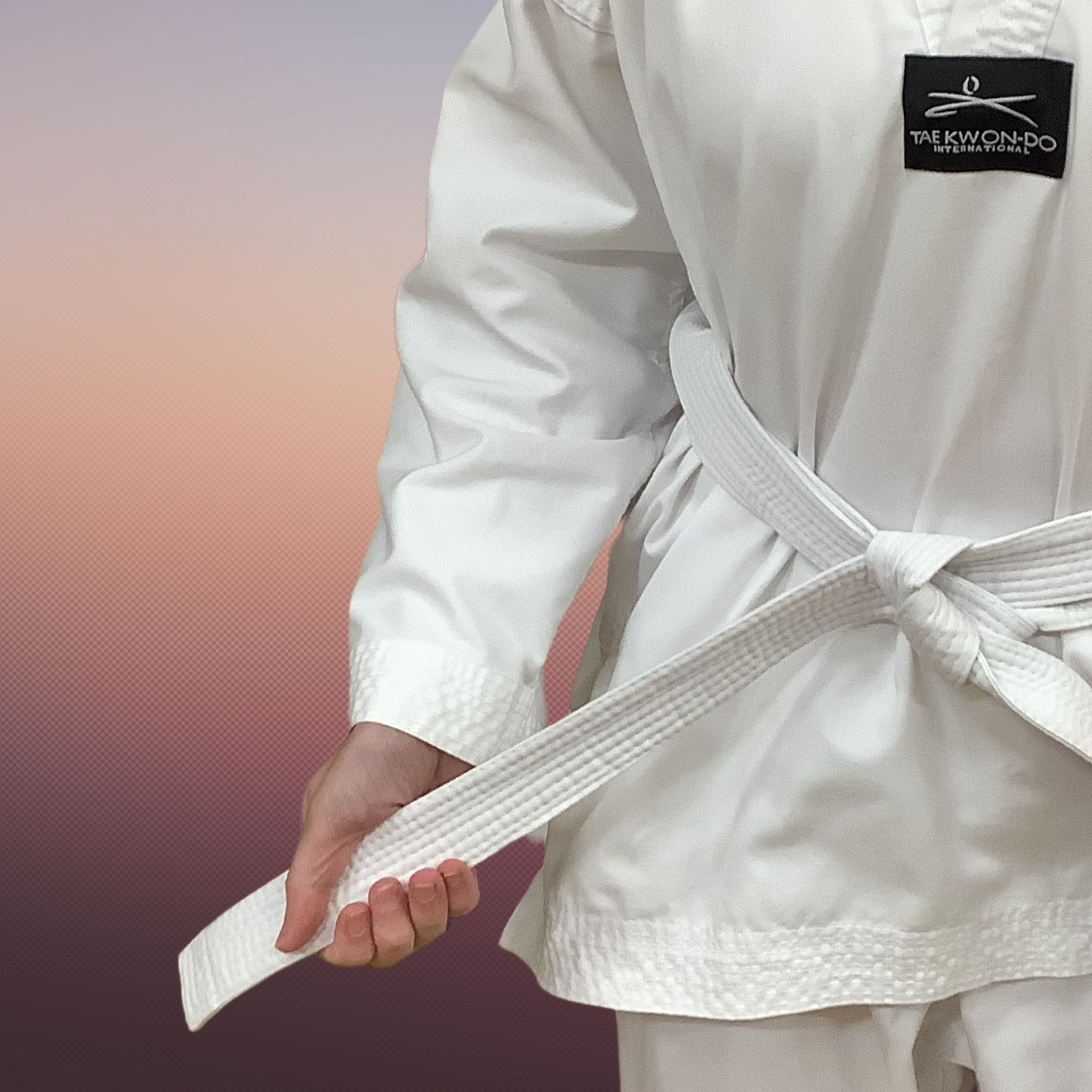 Ignite TKD Korean theory