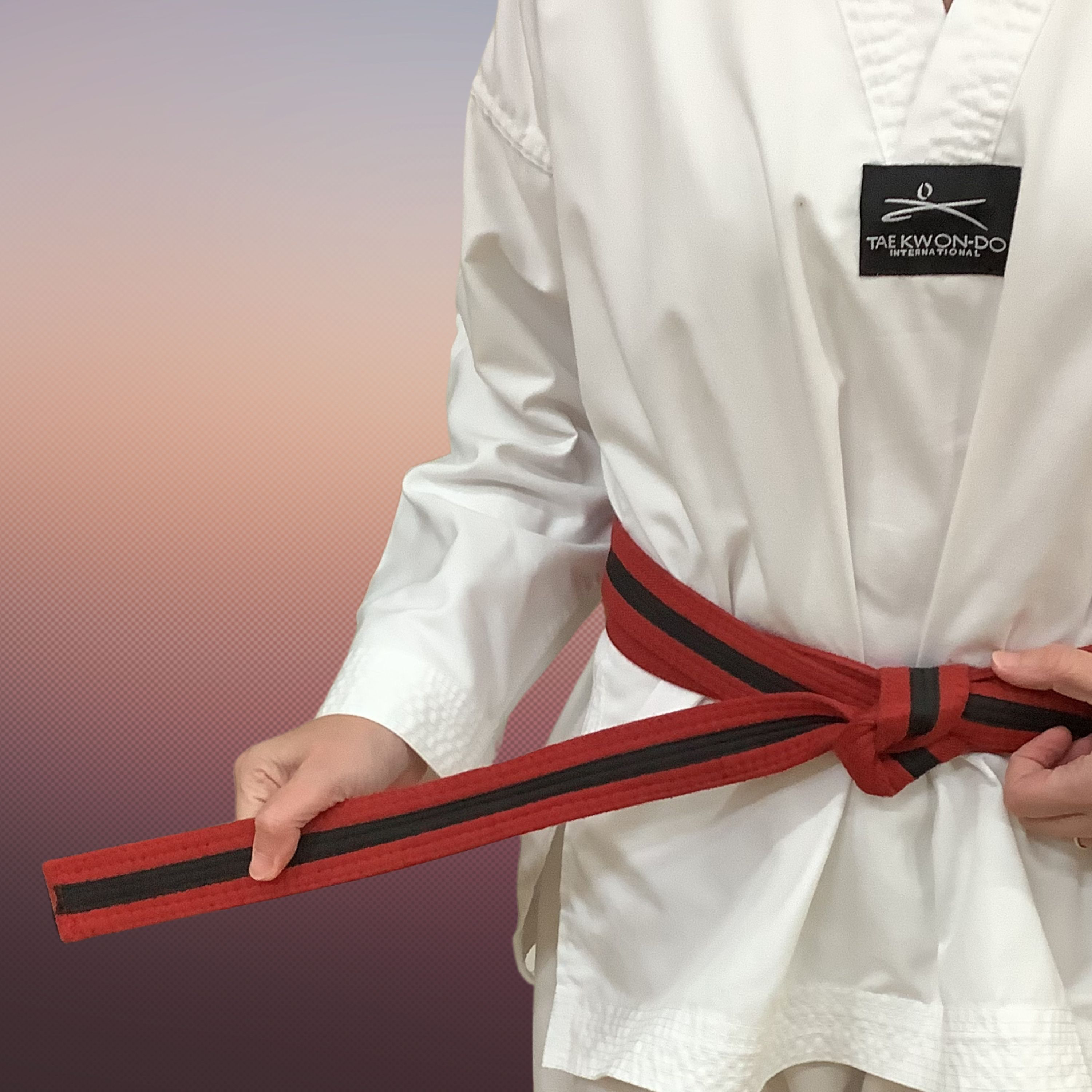 Ignite TKD Korean theory