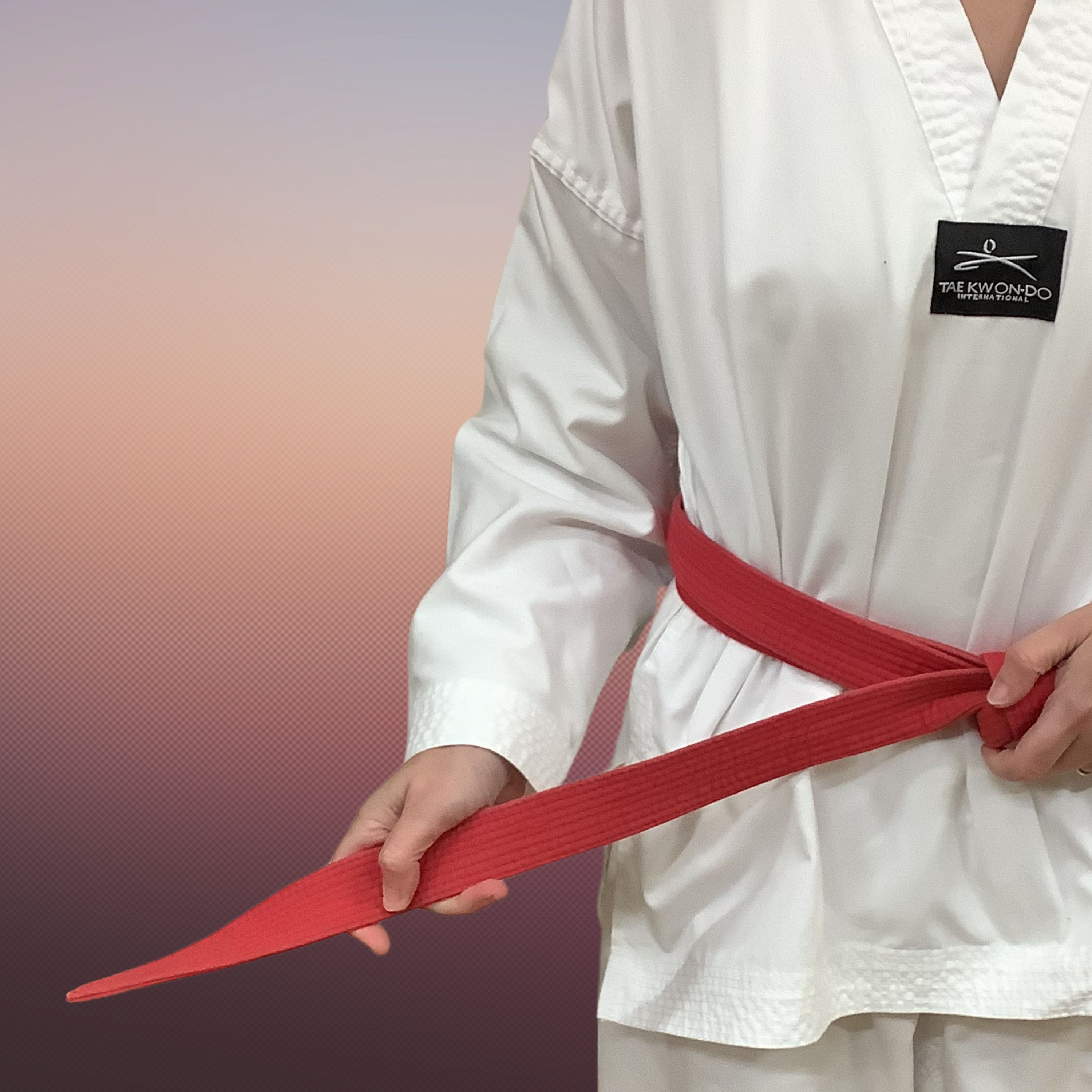 Ignite TKD Korean theory