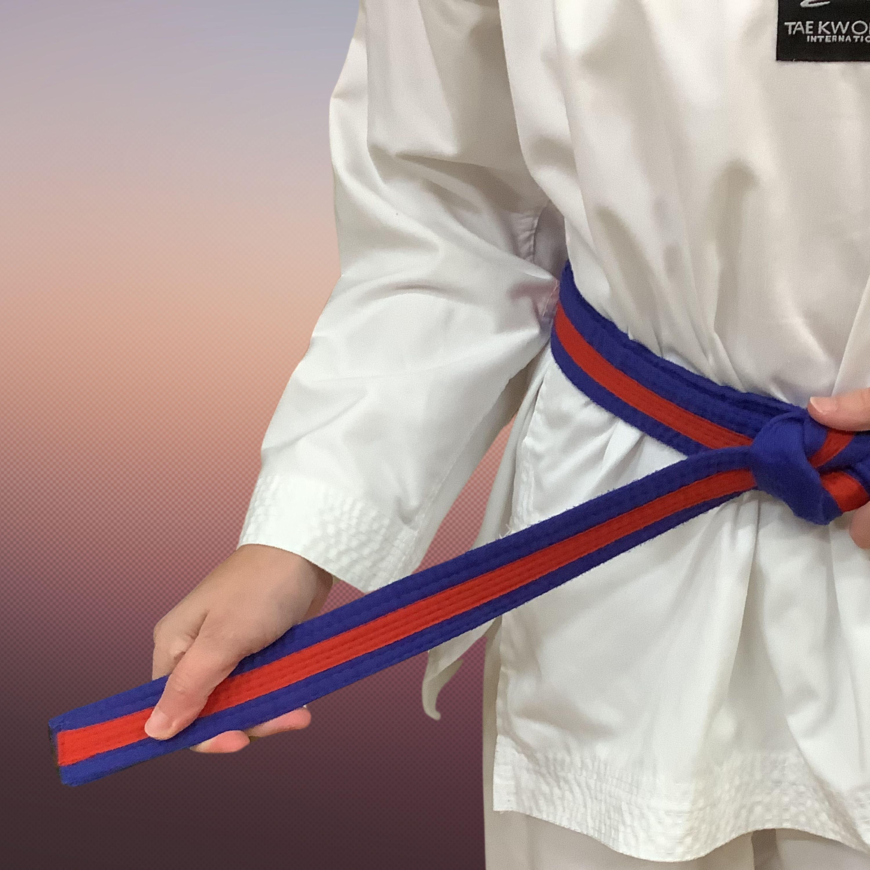 Ignite TKD Korean theory