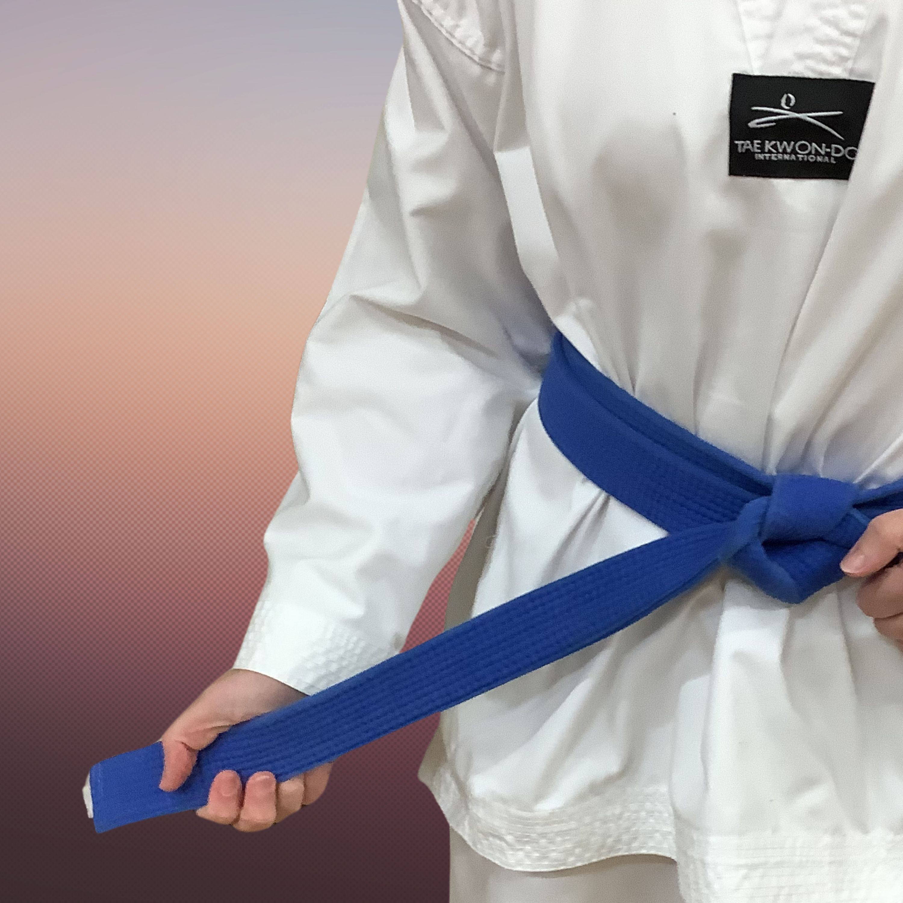 Ignite TKD Korean theory