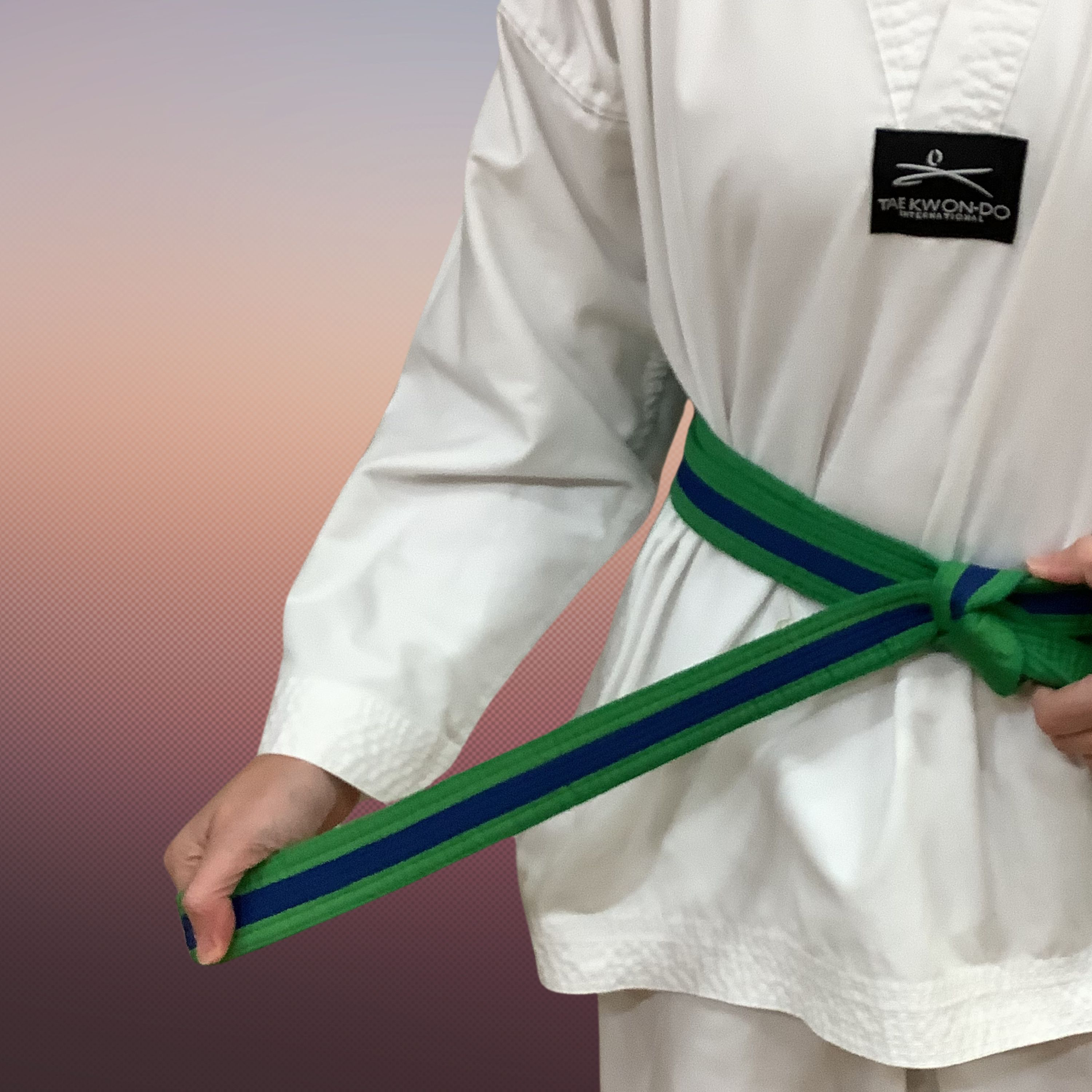 Ignite TKD Korean theory