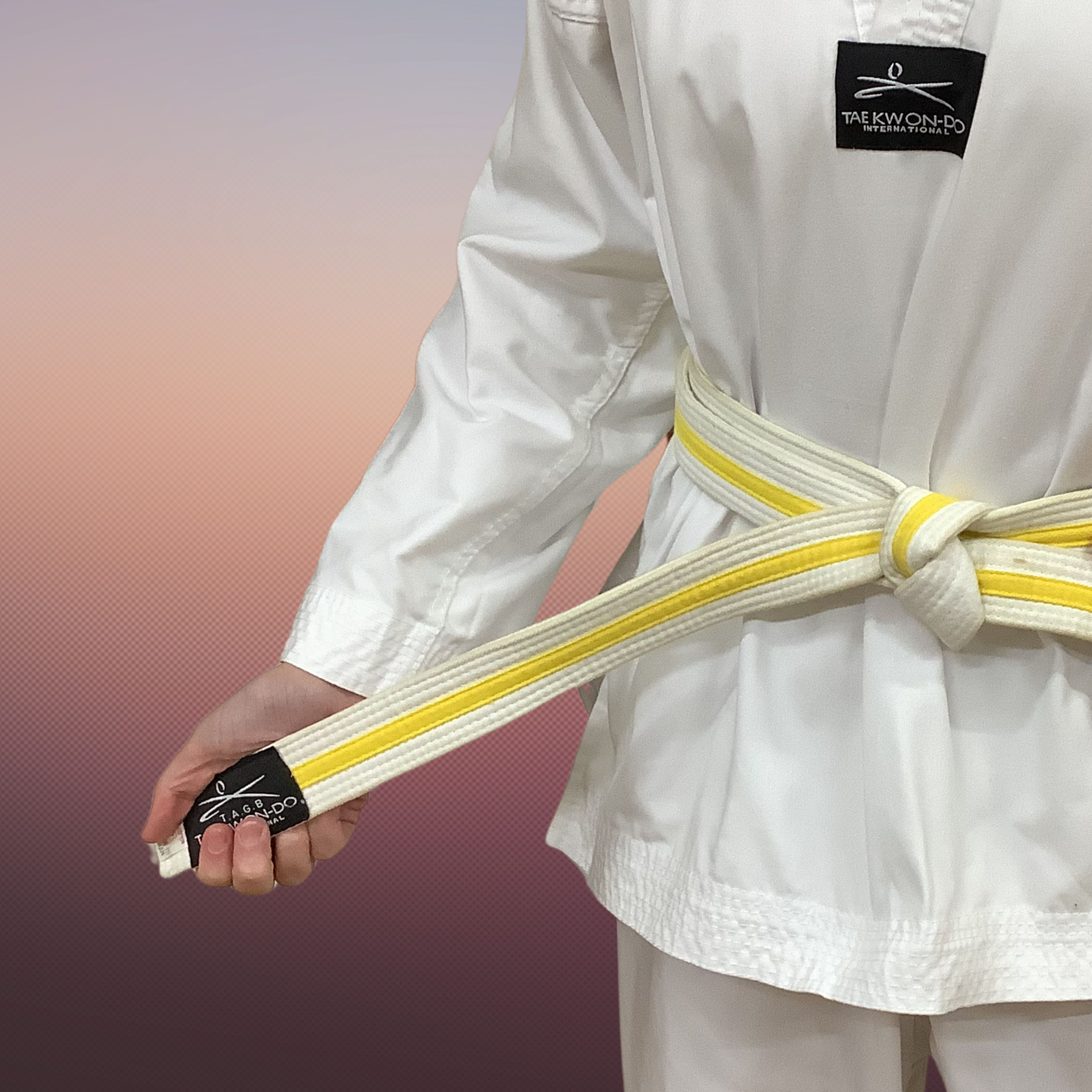 Ignite TKD Korean theory