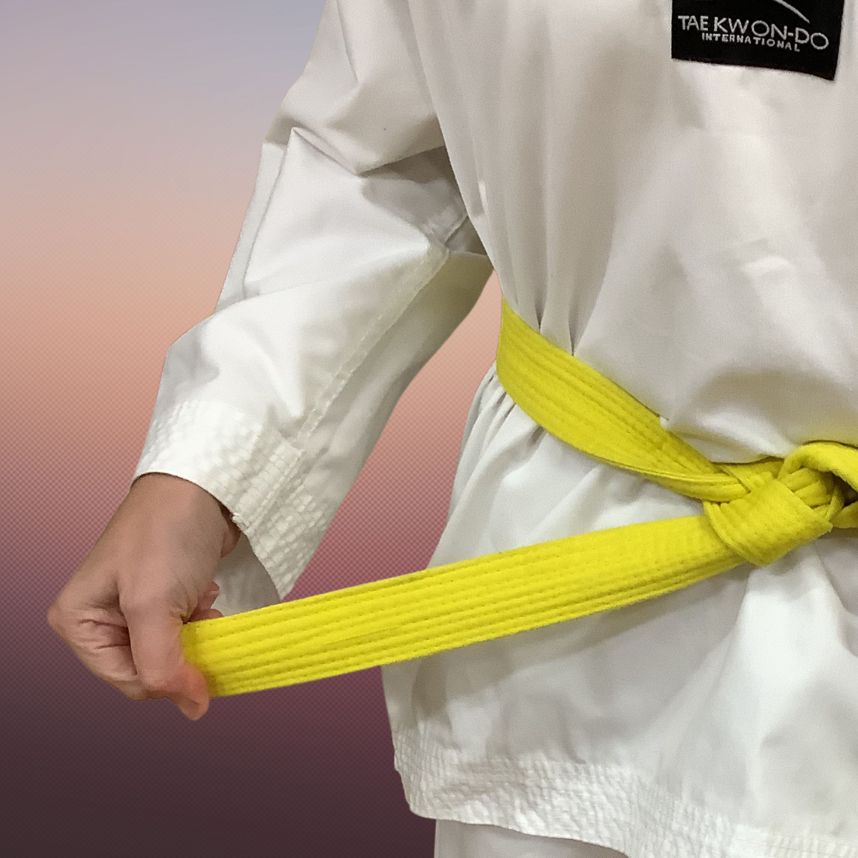 Ignite TKD Korean theory