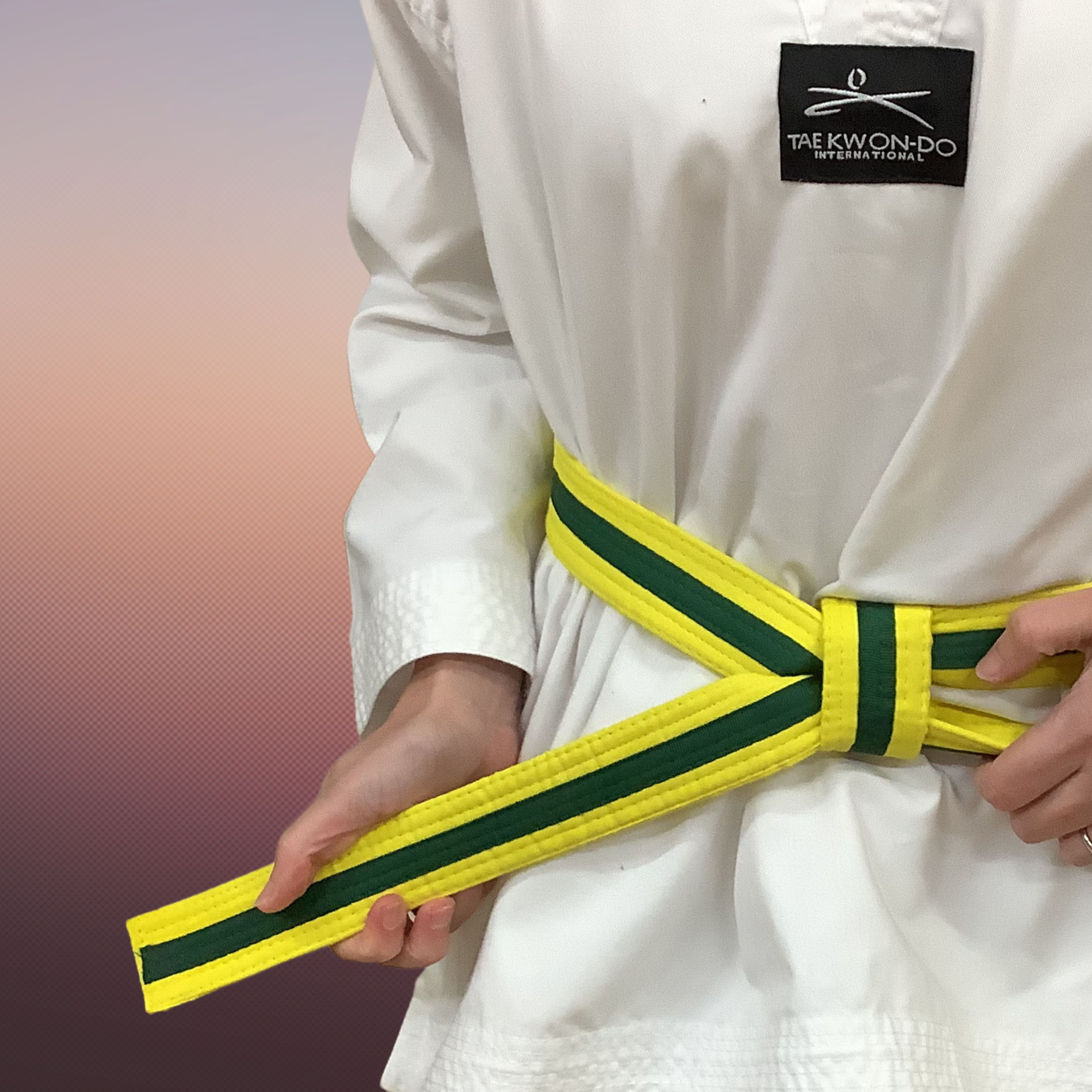 Ignite TKD Korean theory