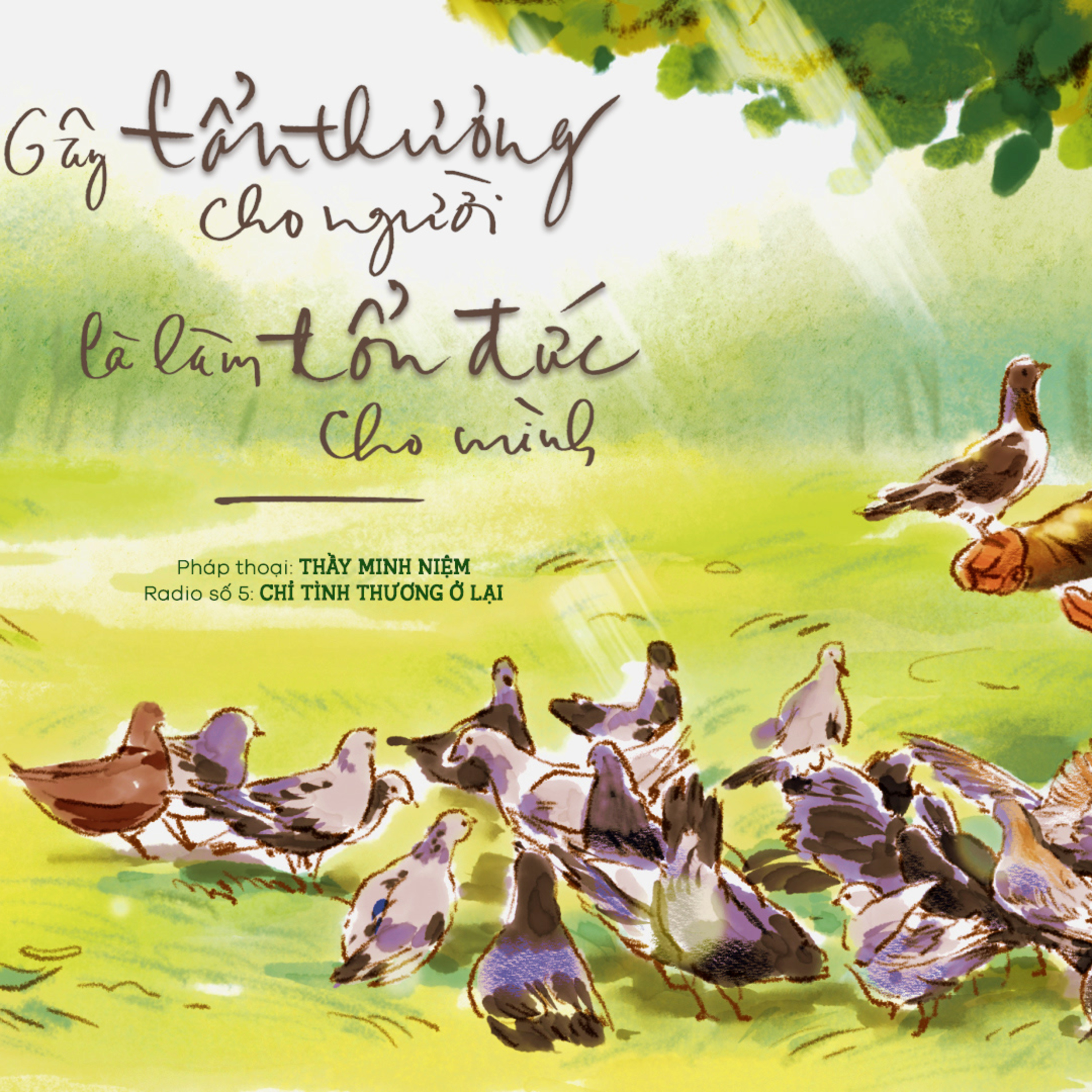 Thầy Minh Niệm l Gây tổn thương cho người là làm tổn đức cho mình l Trích Radio số 05 "Chỉ tình thương ở lại" episode artwork