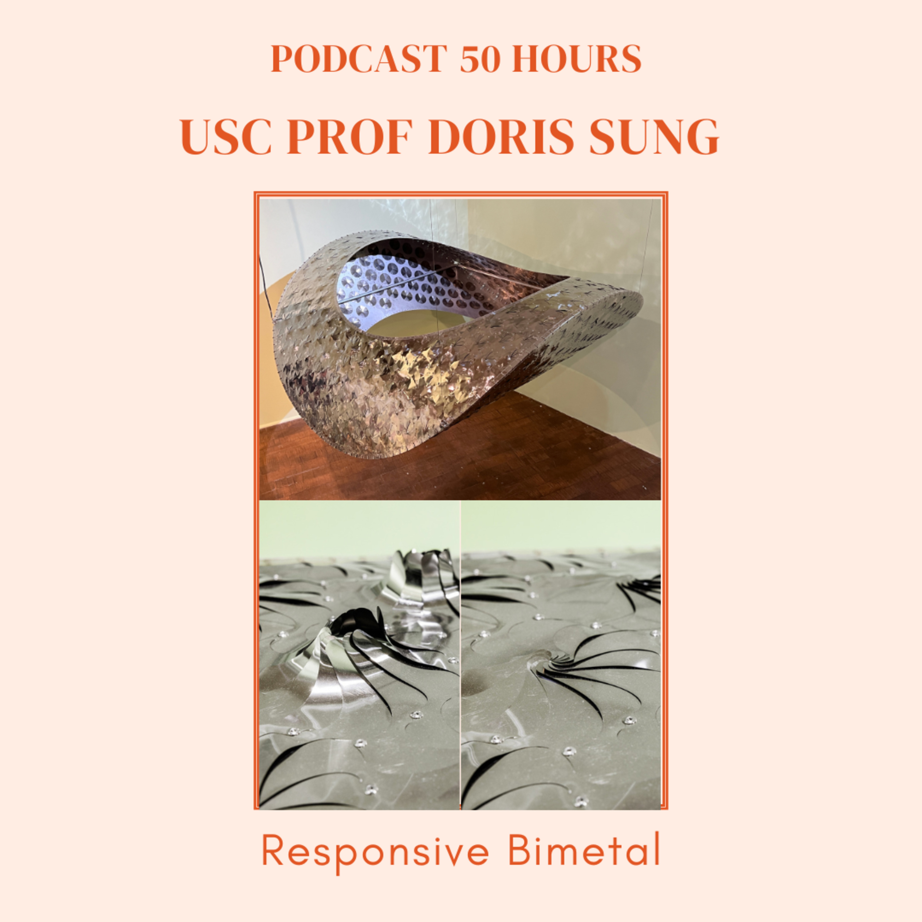 USC Professor Doris Sung episode artwork