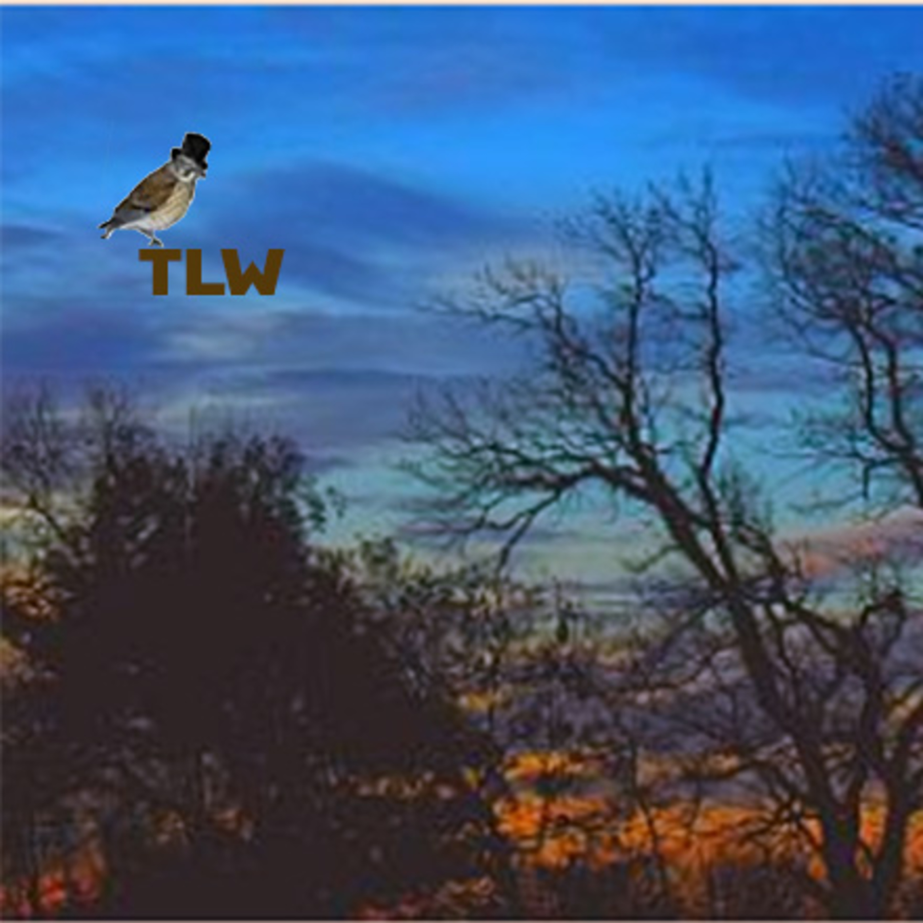 The Linnet\'s Wings Magazine