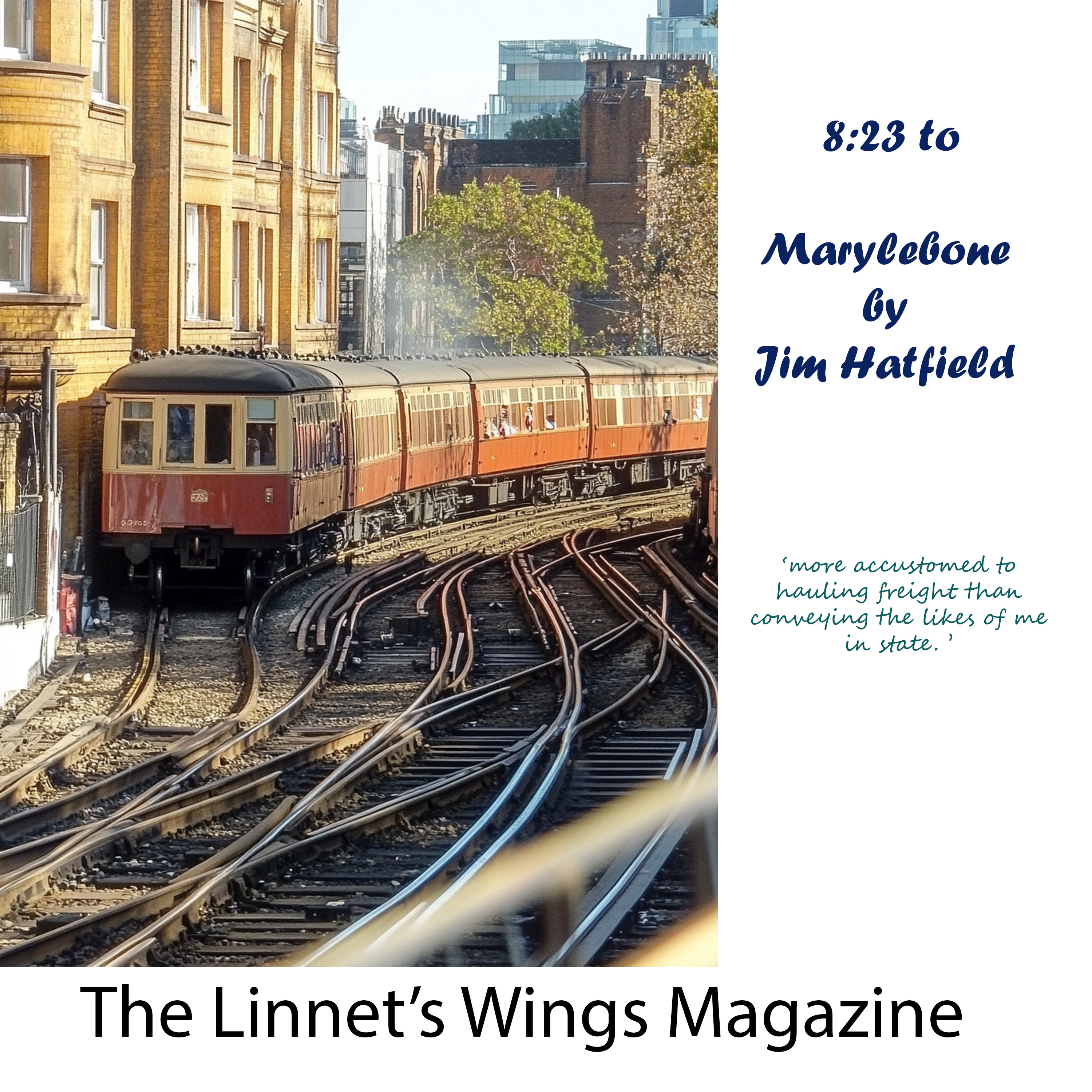 The Linnet\'s Wings Magazine