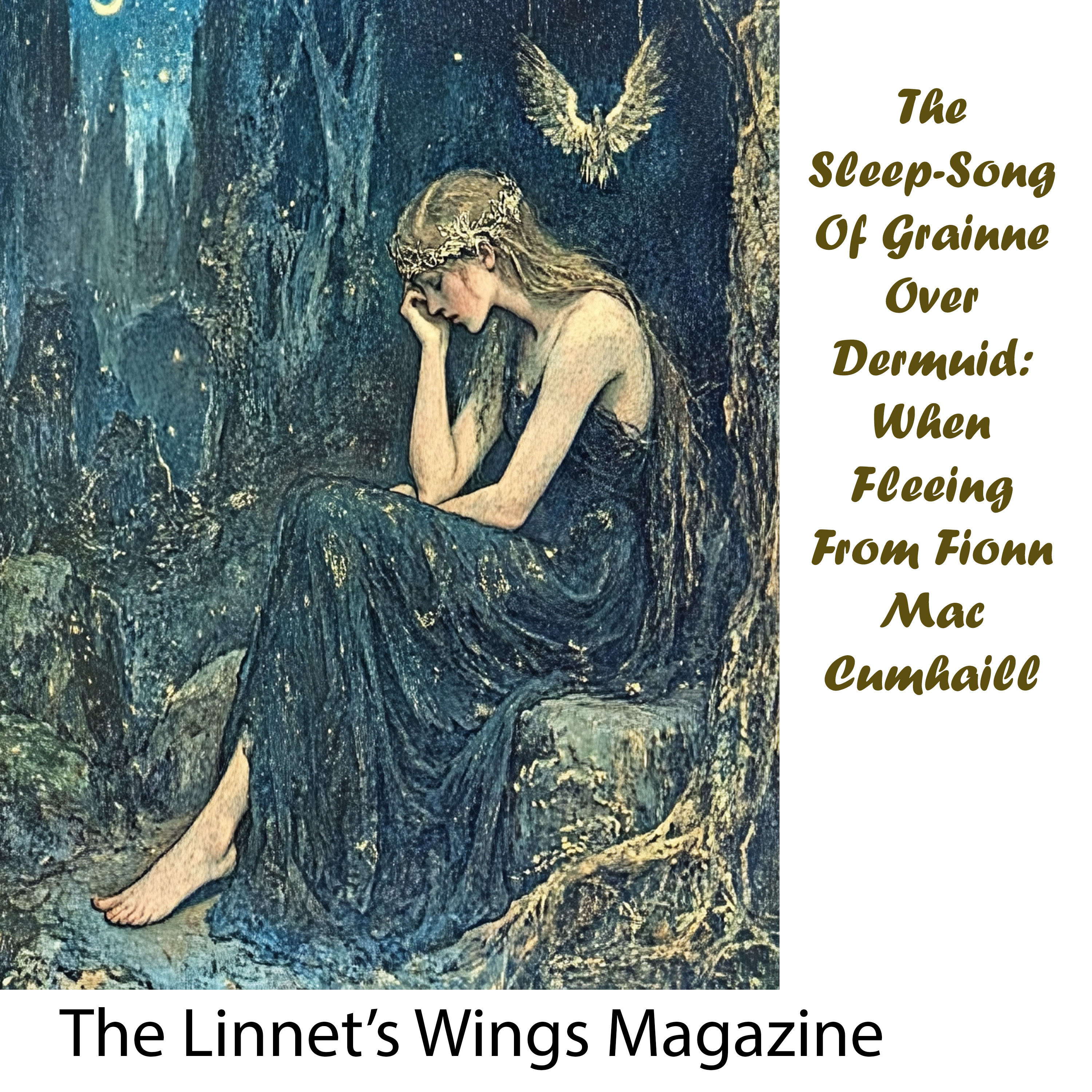 The Linnet\'s Wings Magazine