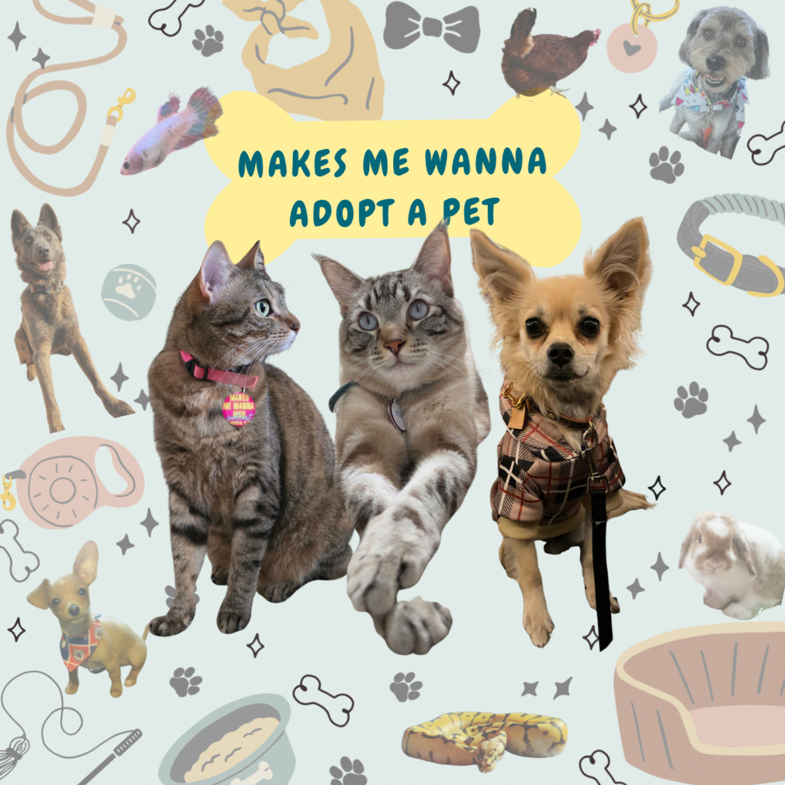 MMWH Pets episode artwork