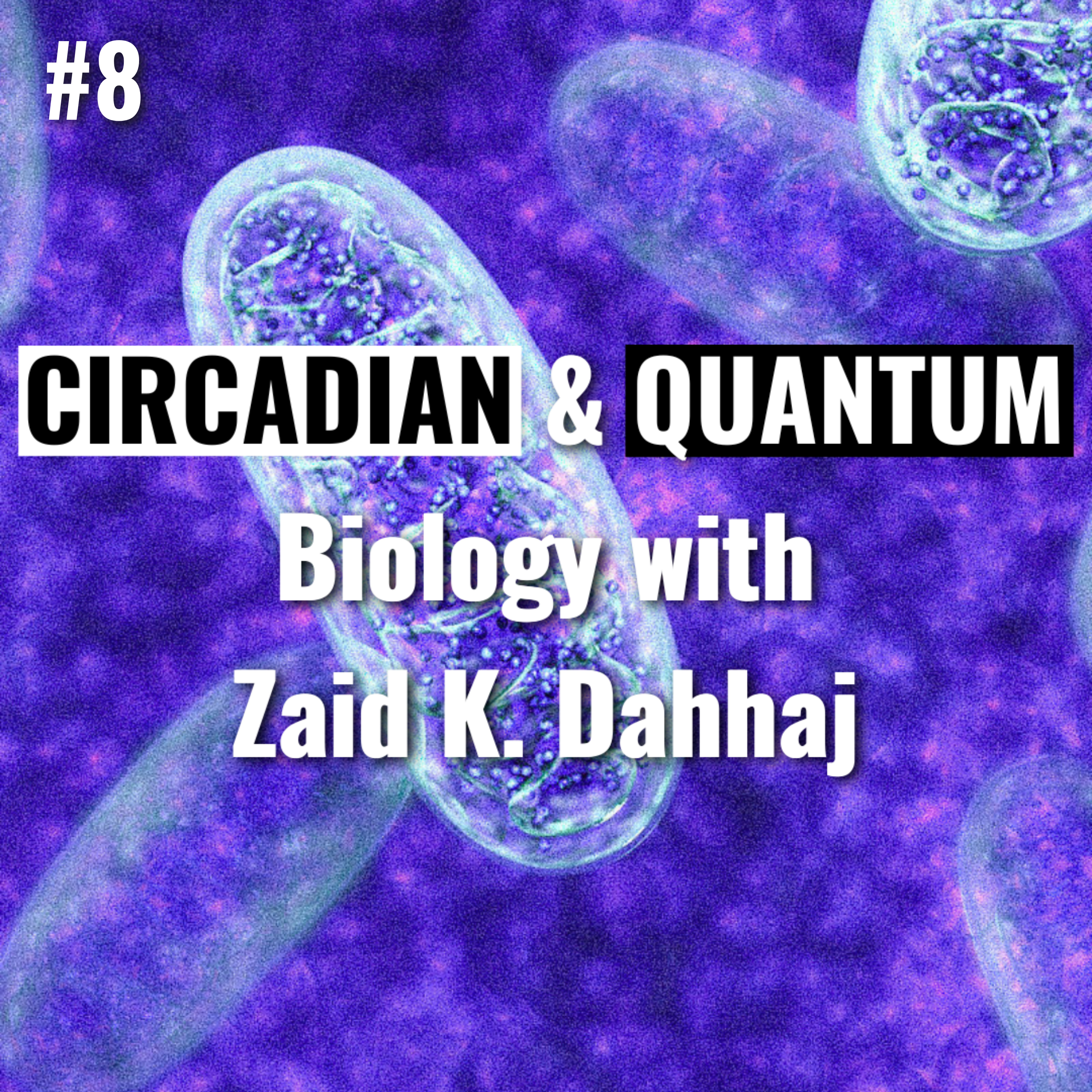 Your Mitochondria NEED this! Circadian Rhythm & Quantum Biology with Zaid K Dahhaj | Mitochondrial Health | Sleep Hygiene | Melatonin | BioHacking