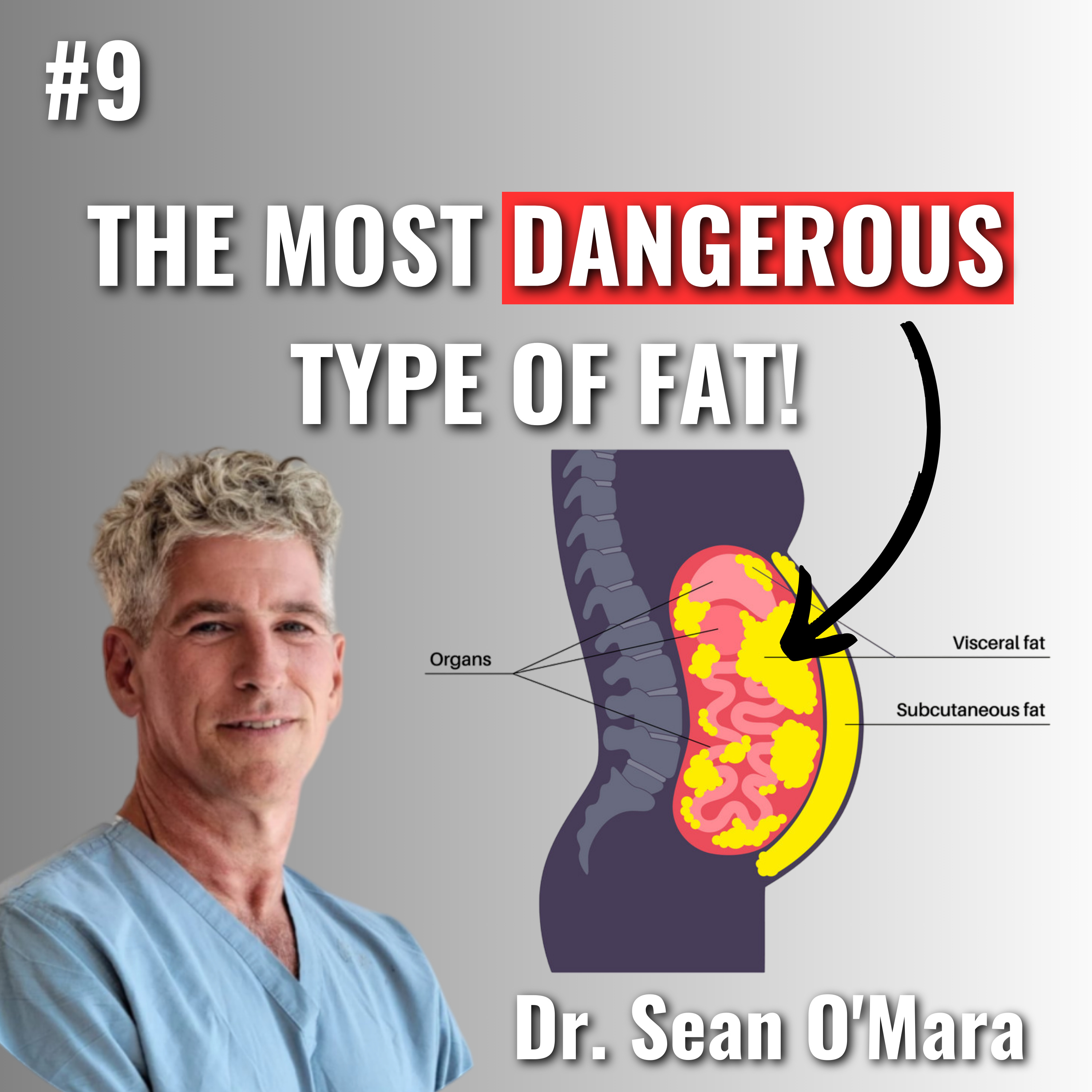 DANGERS of VISCERAL FAT with Dr. Sean O'Mara | Inflammation | Fasting | Sprinting Benefits | Living Carnivore Diet | How to Lose Fat Fast