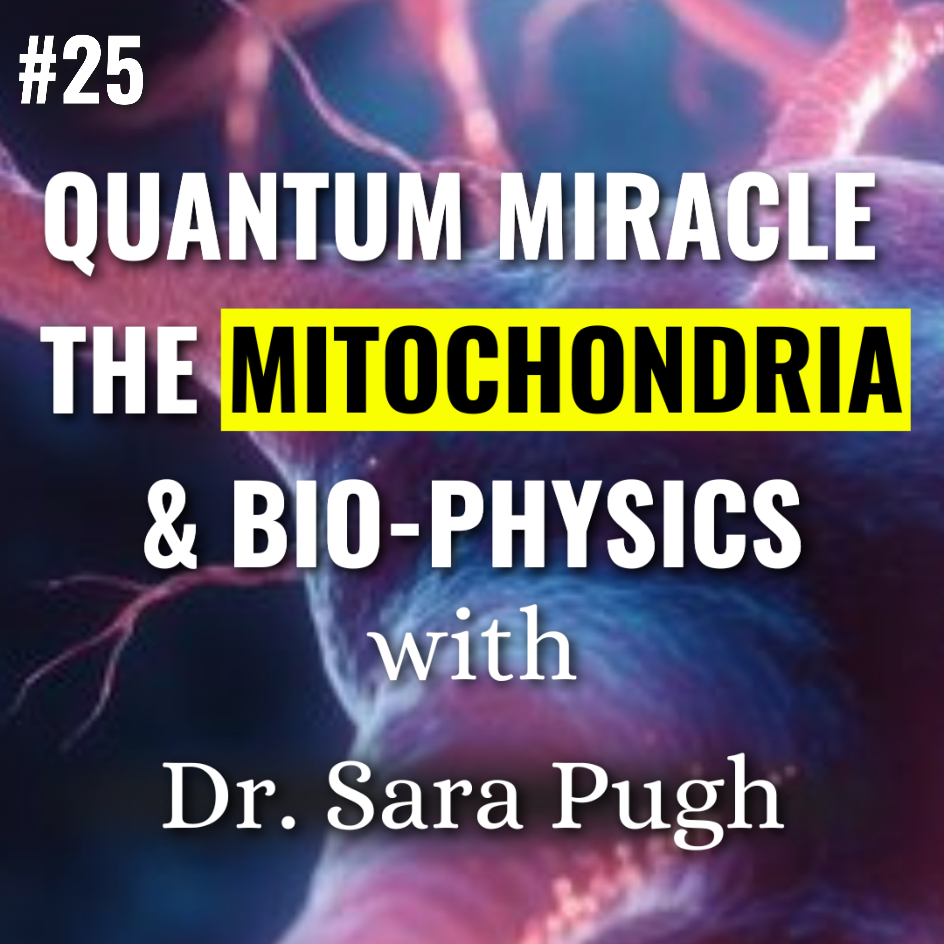 Dr. Sara Pugh on Mitochondrial Health, Role of Reactive Oxygen Species, Magnetism & Energy Balance, Antioxidants, Bio-Physics of Consciousness, Epigenetic Expression, Life Force Energy