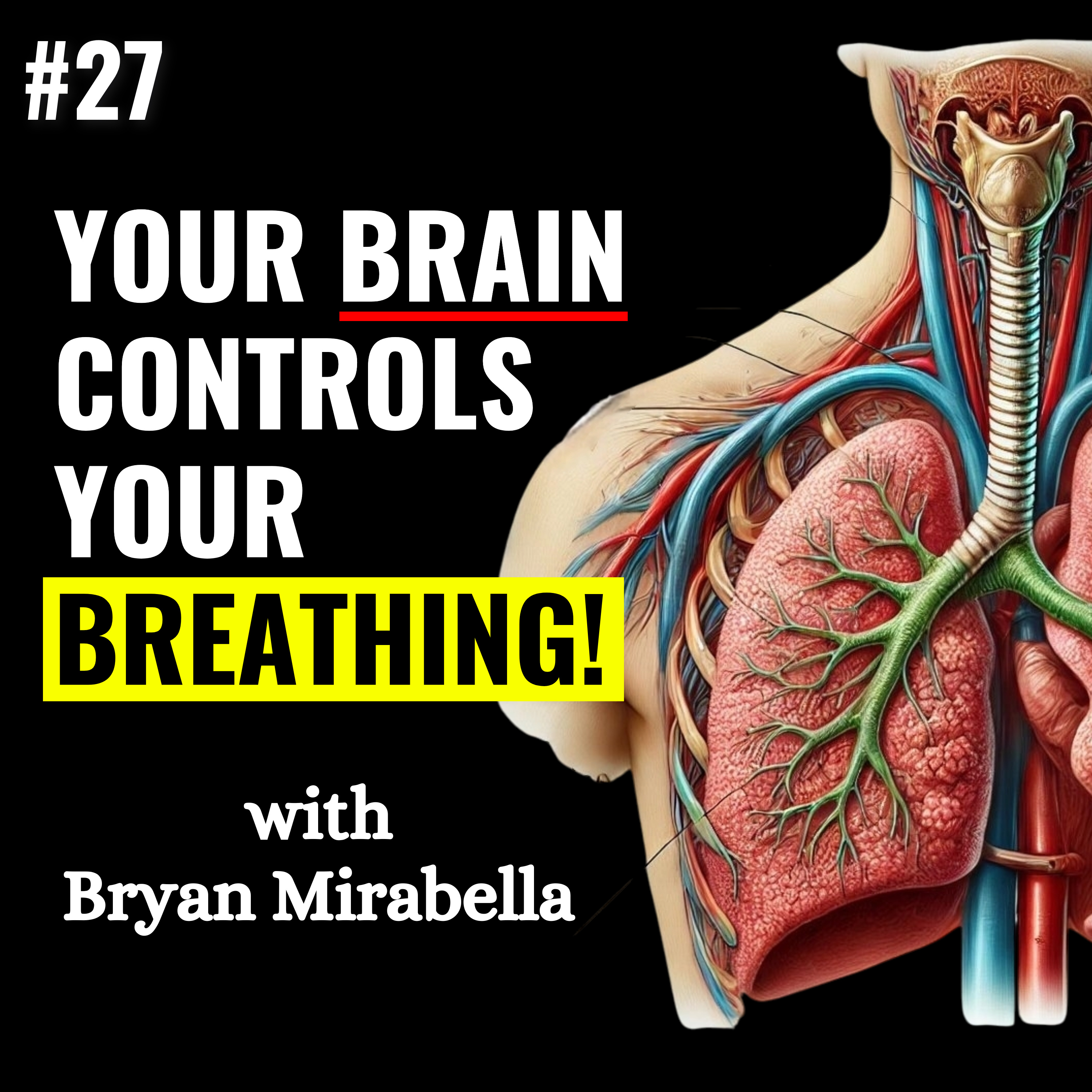 Breathwork Expert 💥 Explains How the Brain Controls our Breathing for Detoxification, Nervous System Regulation, Digestion, Performance, Health & Overall Wellbeing! Oxygen Advantage Master Instructor