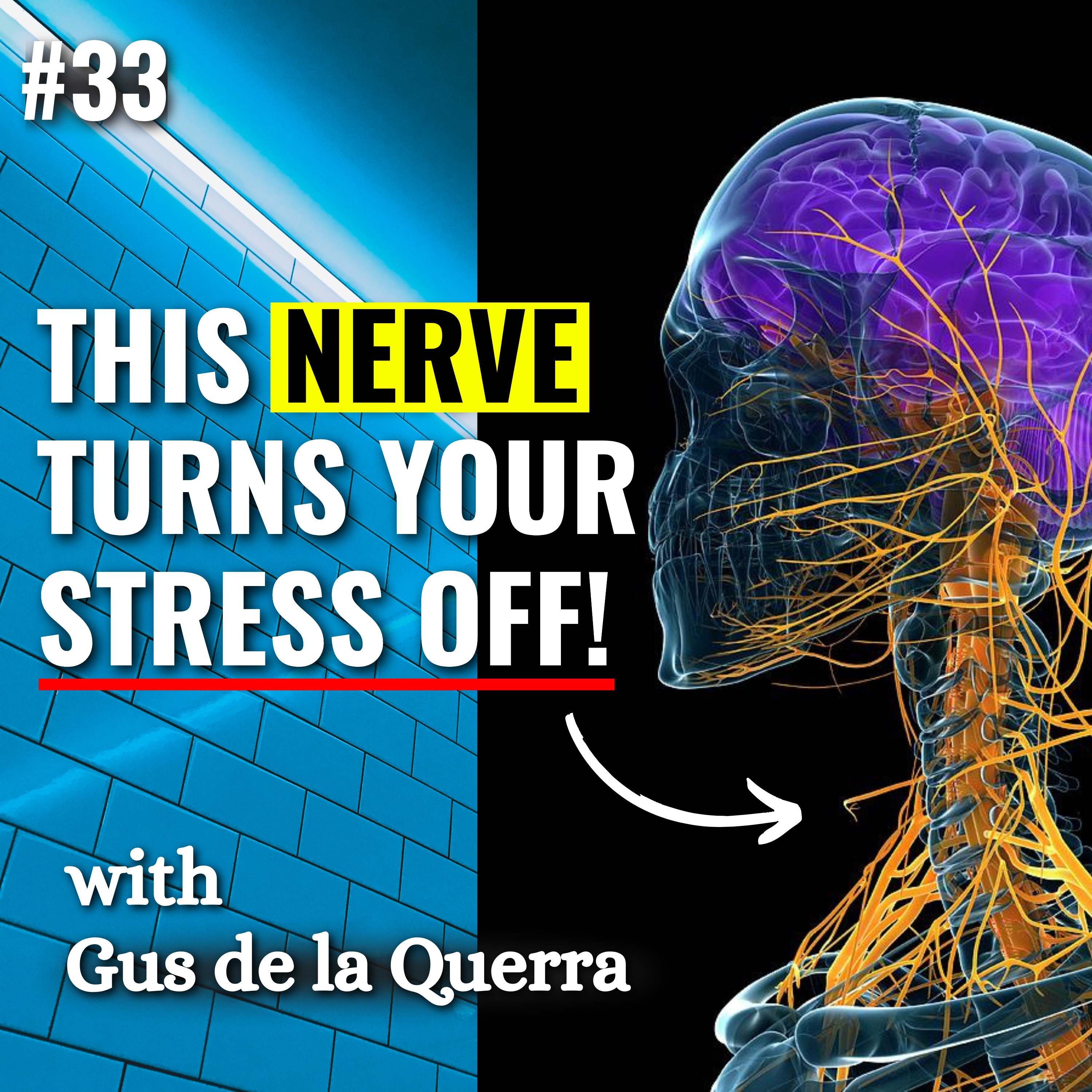 Vagus Nerve Expert explains the Vagus role in Stress Management, Chronic Pain & Inflammation💥Vagus Nerve Exercises, Vagus Nerve Reset, Vagus Nerve Stimulation, Vagus Nerve Breathing, Gus de la Querra