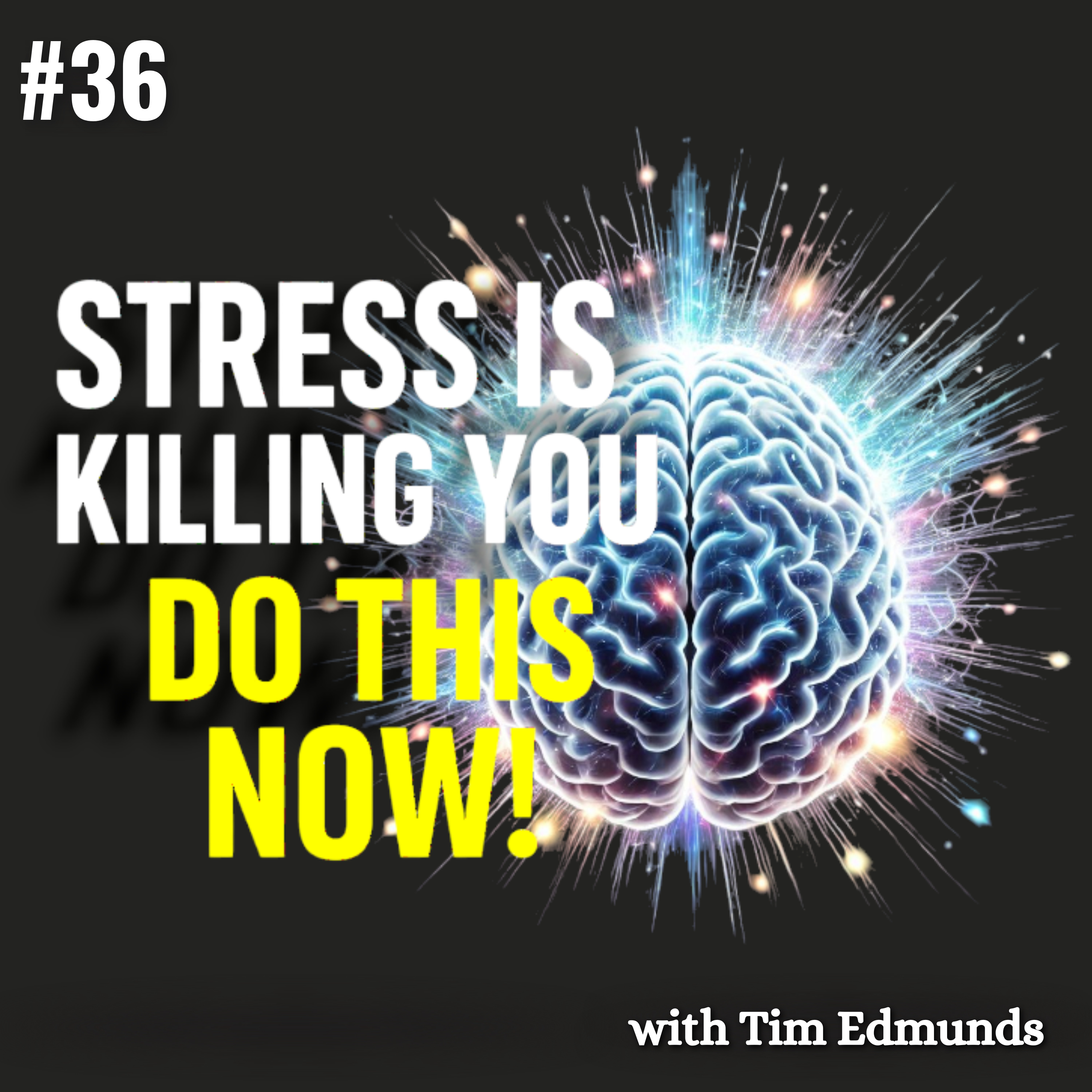 Chronic Stress Is Killing You — Build Resilience or Stay in Pain