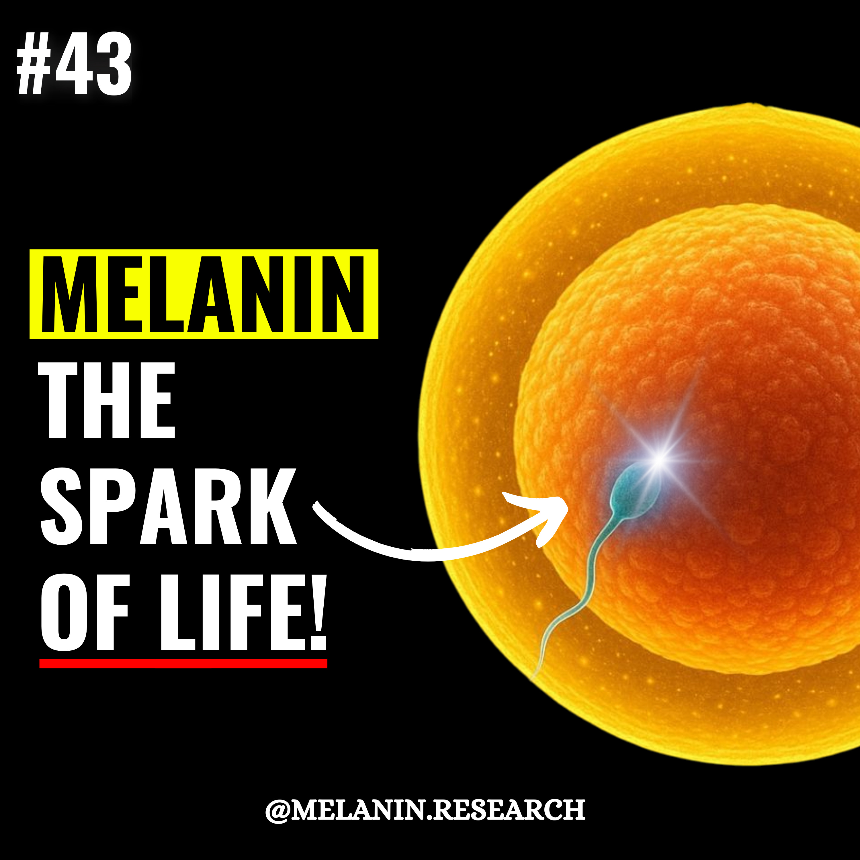 Healthy Pregnancy needs MELANIN - Stem Cell Regulation, Eumelanin role in Sperm, Melanin as a Sensory Organ! Boost Fat loss, Movement ability, Athleticism & Performance with the Power of Melanin