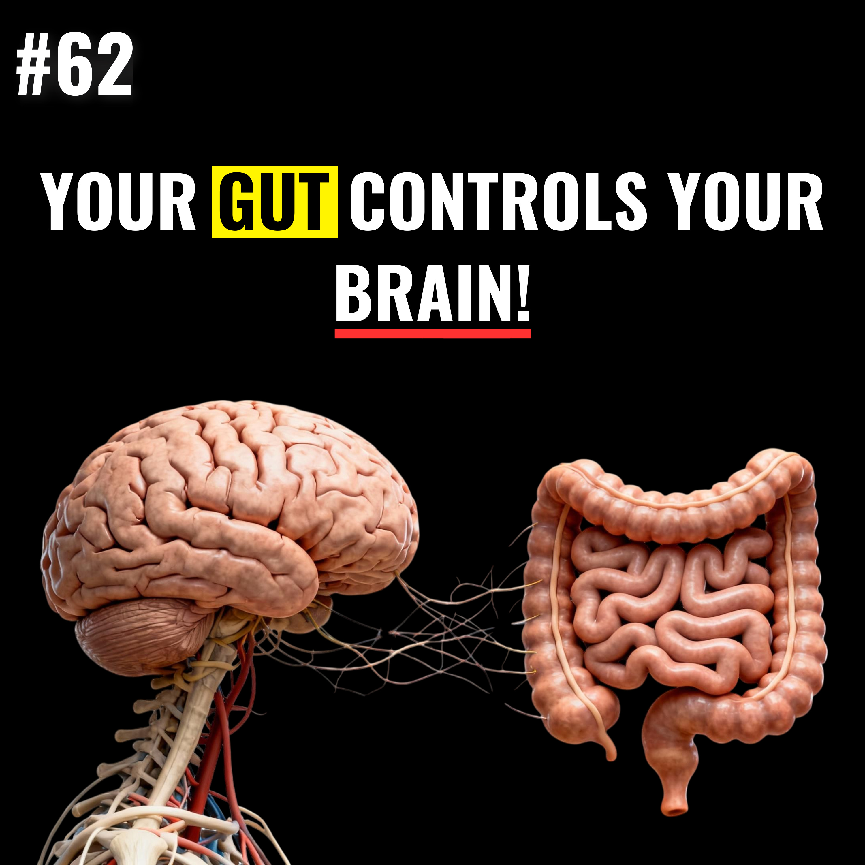 Gut Health Explained: How Your Microbiome Controls Your Mind, Mood & Energy | Gut-Brain Connection, Digestion, Mental Health, Wellness & Natural Remedies