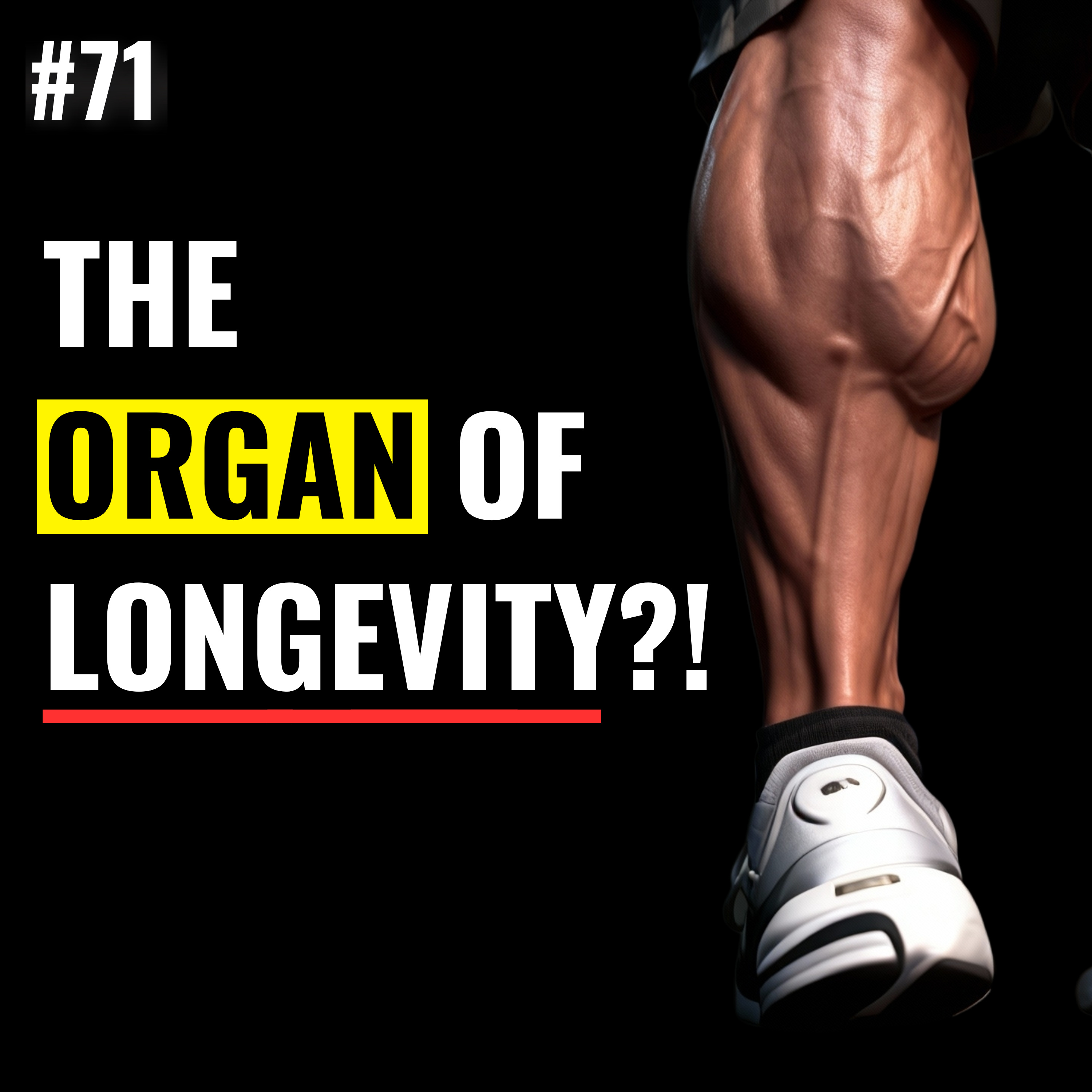 Muscle for Longevity: Fat Loss, Metabolic Health, Blood Glucose, Hormones, Stress Management, Anti-Aging, Best Strength Exercises & Circadian Health | Fitness Wisdom Podcast