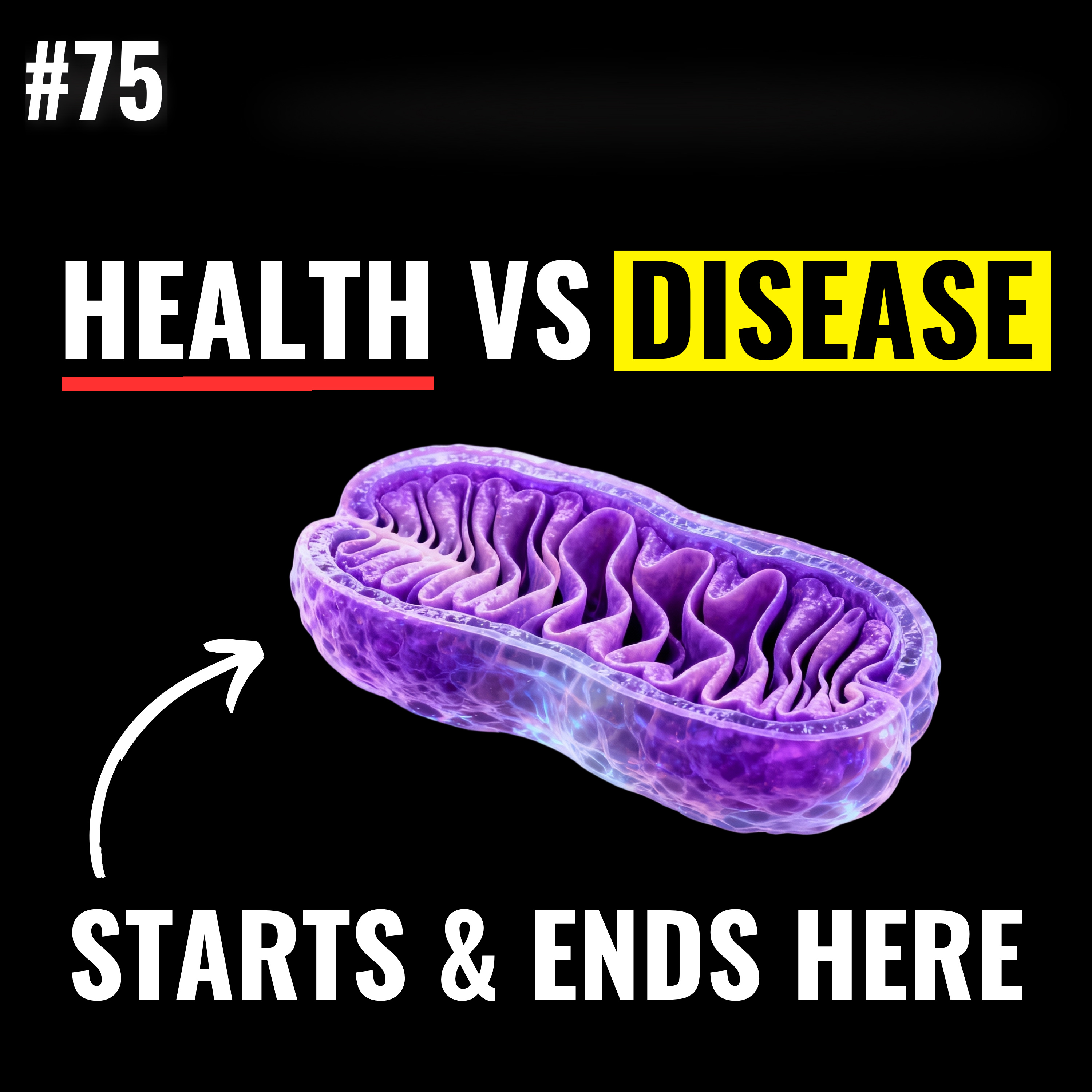 Modern Disease Explained: Mitochondria, Autoimmunity, Chronic Stress, Light Exposure, Nervous System Regulation & Foundational Health | Ryan Mitchel Brown