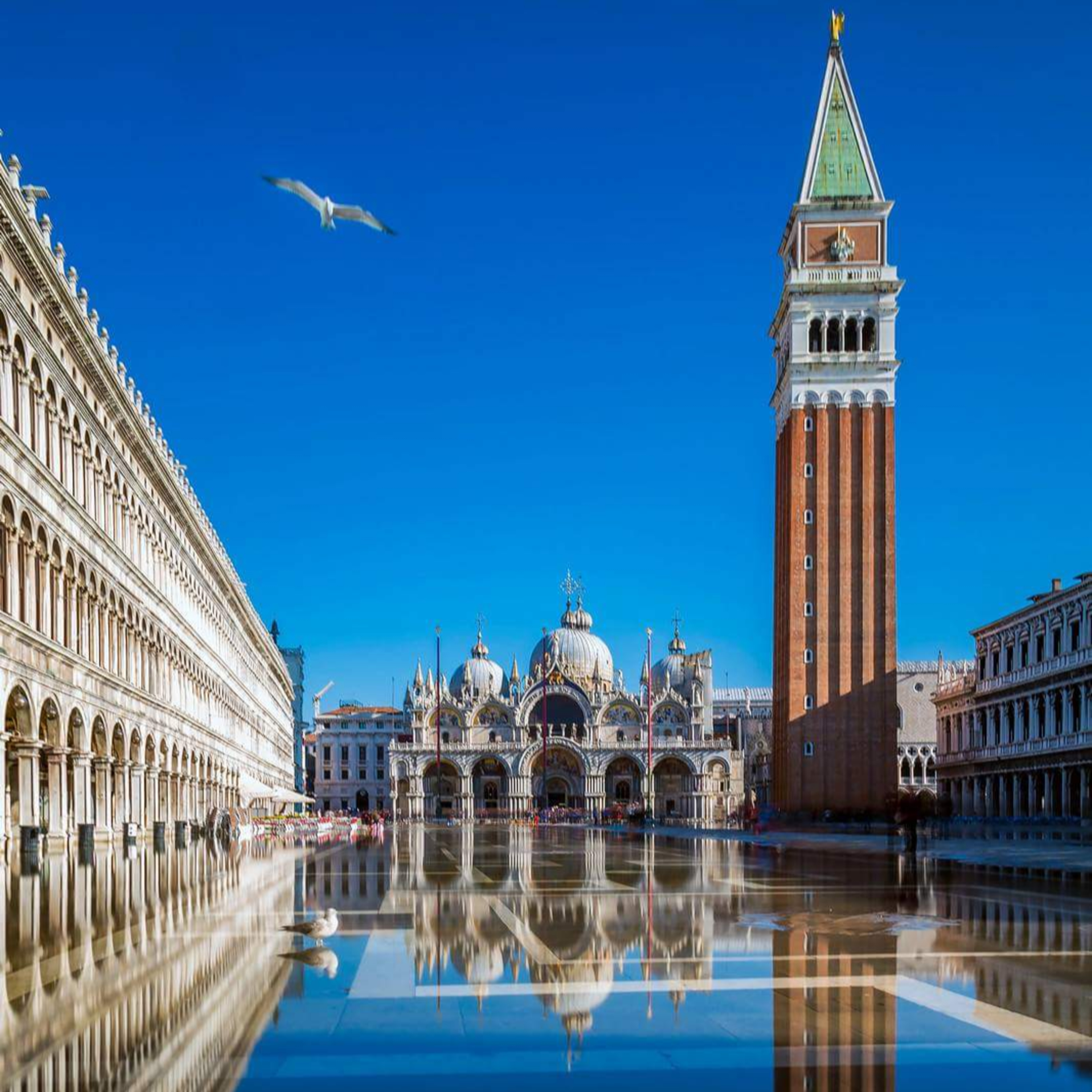VENICE - St. Mark's Square - guided tour of Venice (English) episode artwork