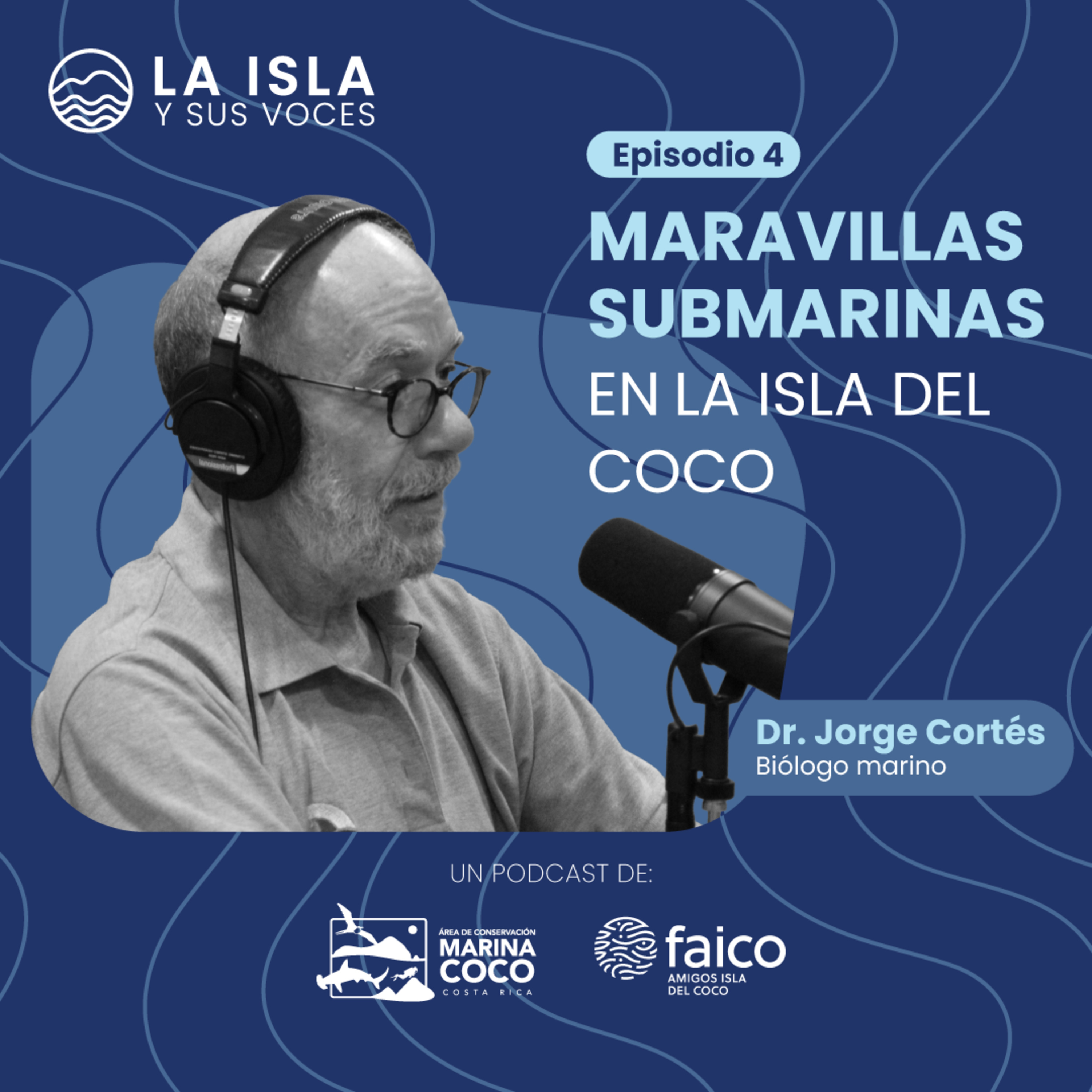 La Isla y sus Voces: Descubriendo el Parque Nacional Isla del Coco