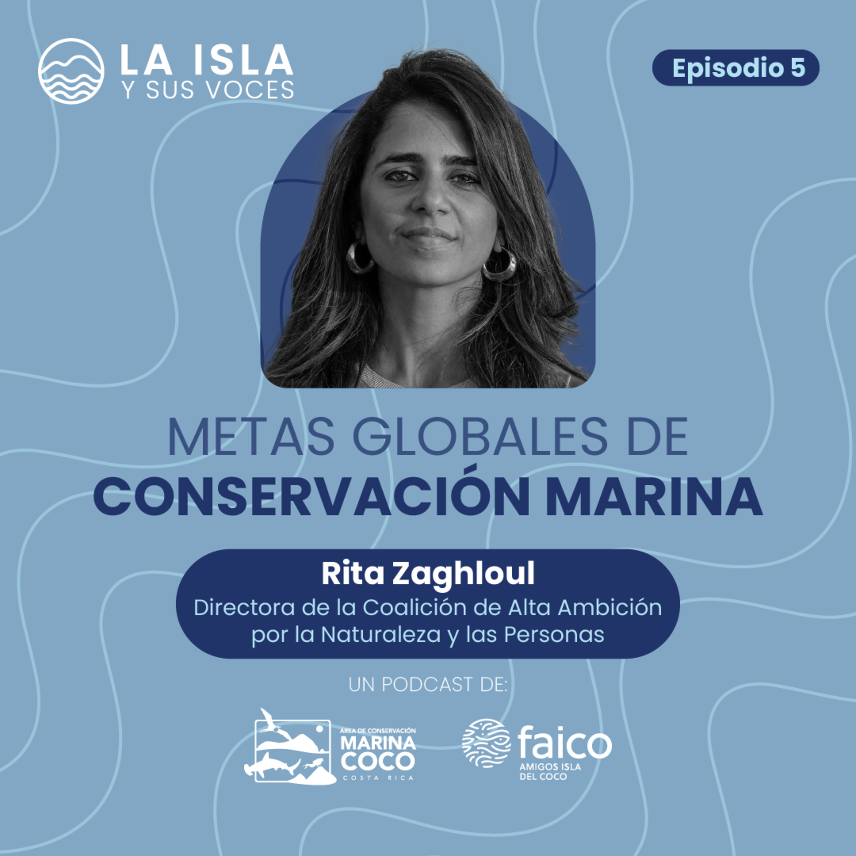 La Isla y sus Voces: Descubriendo el Parque Nacional Isla del Coco