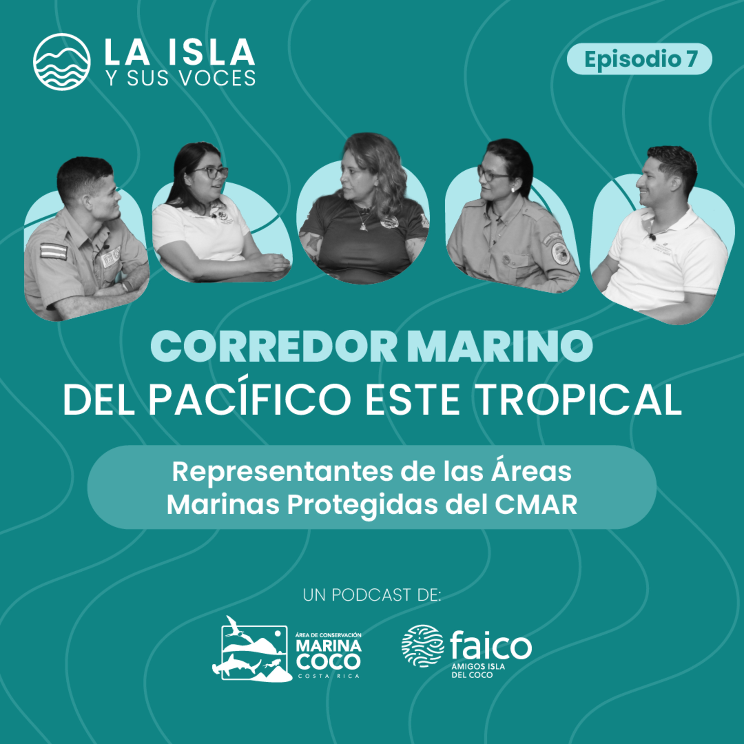 La Isla y sus Voces: Descubriendo el Parque Nacional Isla del Coco