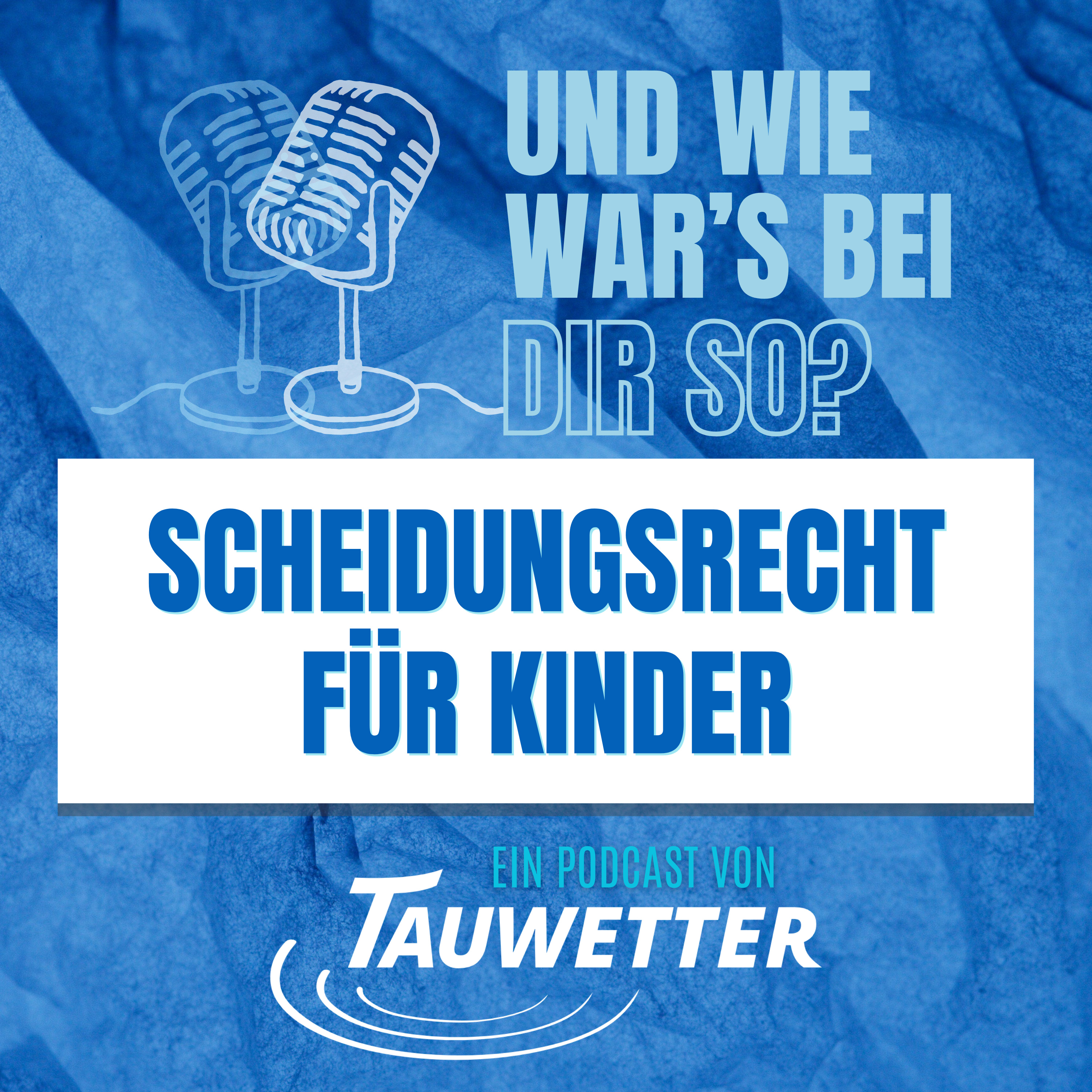 2.02: Scheidungsrecht für Kinder episode artwork