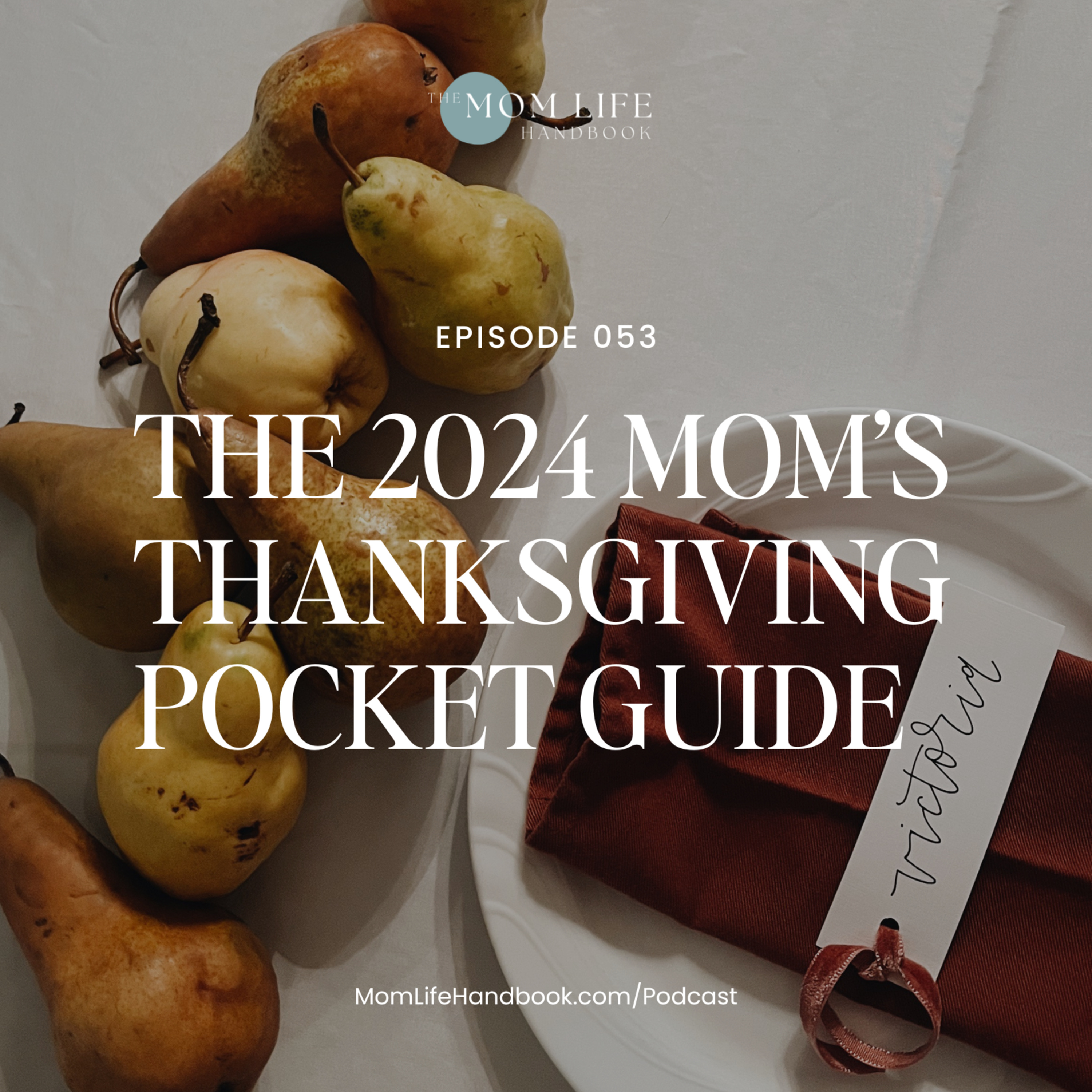 Mom Life Handbook: Your support system for modern motherhood