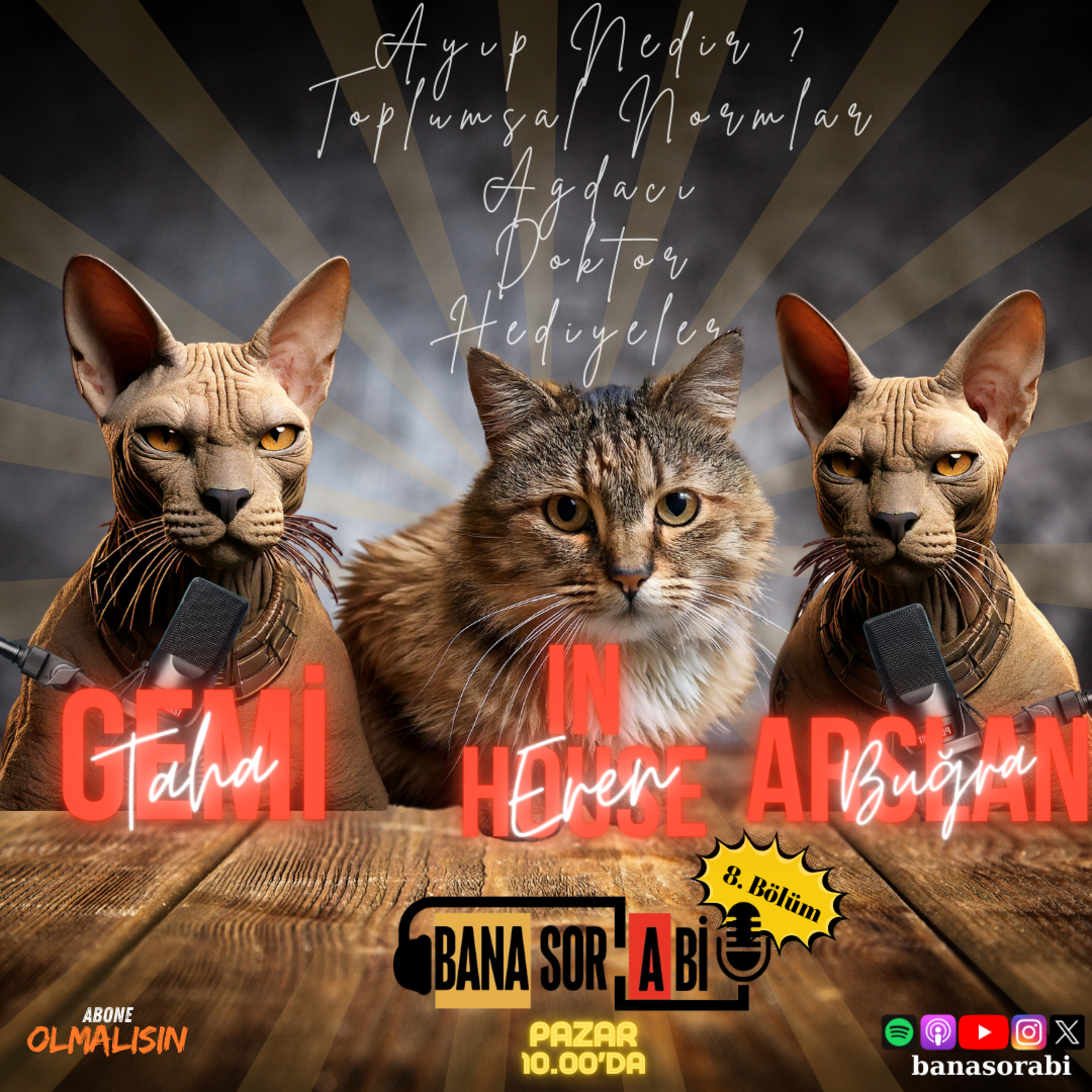 B8. Hediye - Tatil - Ağda - Ayıp Mıdır ? With Eren episode artwork